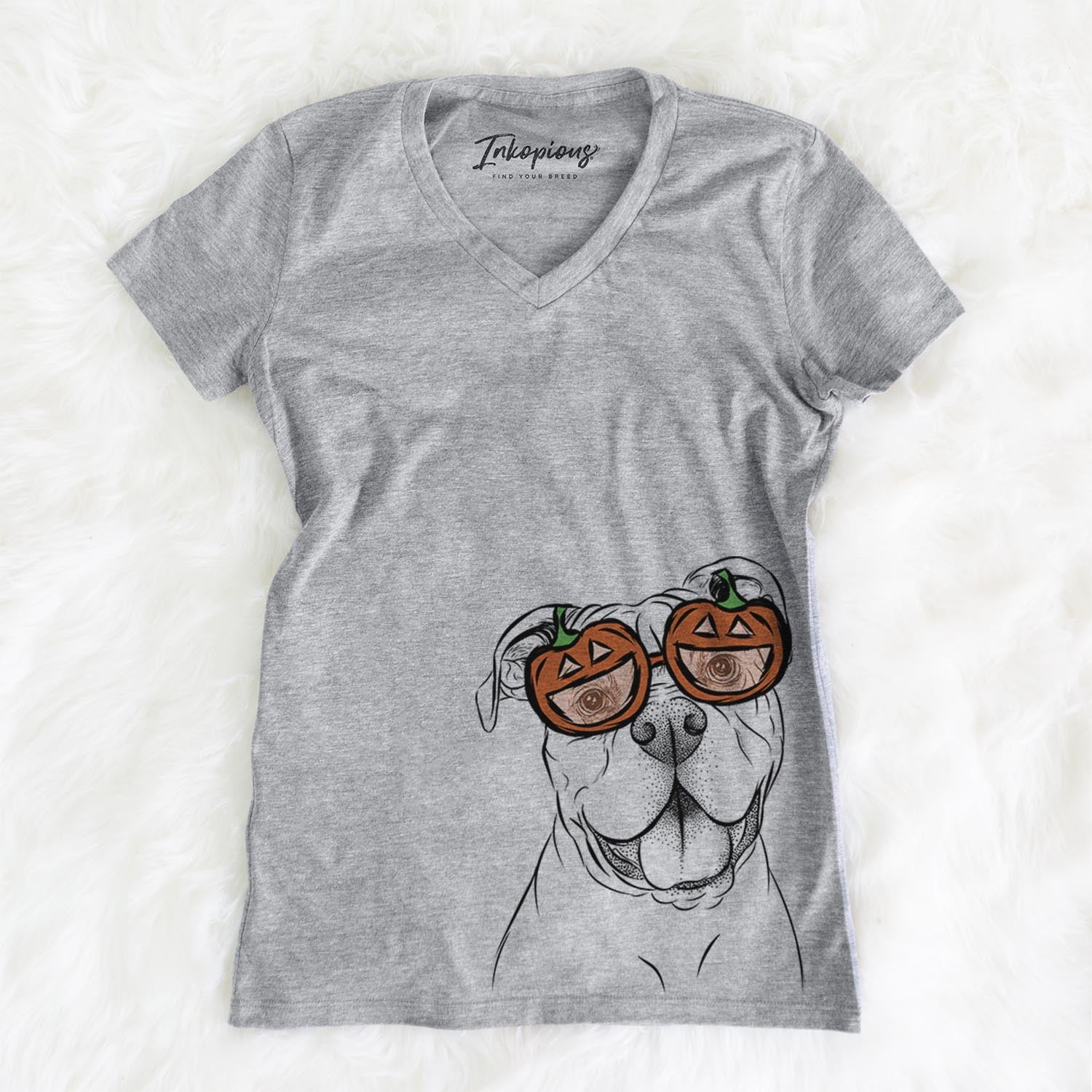 Bravo the Bulldog Mix - Pumpkin Collection