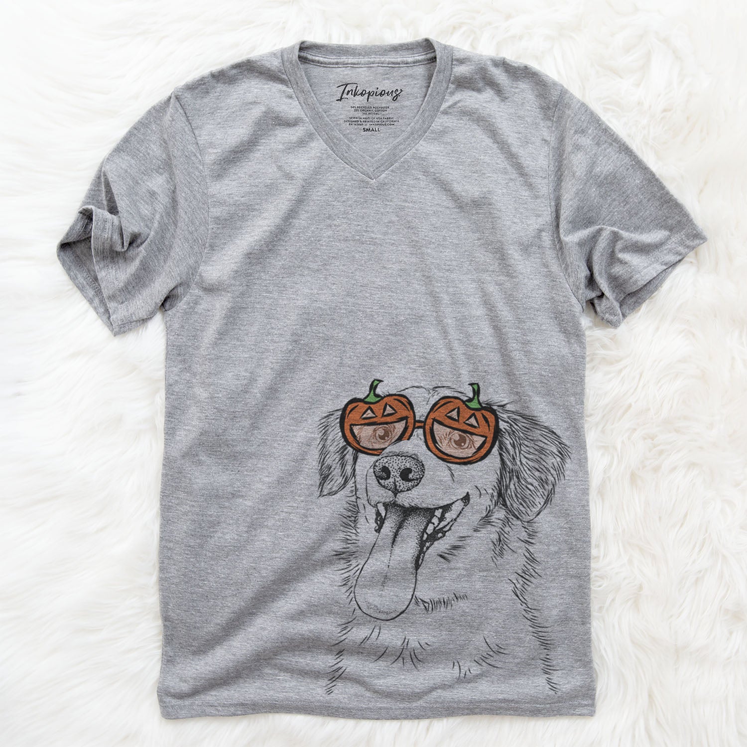 Hand-drawn sketch of Charles Xavier the Mixed Breed wearing pumpkin glasses on a Grey pumpkin collection