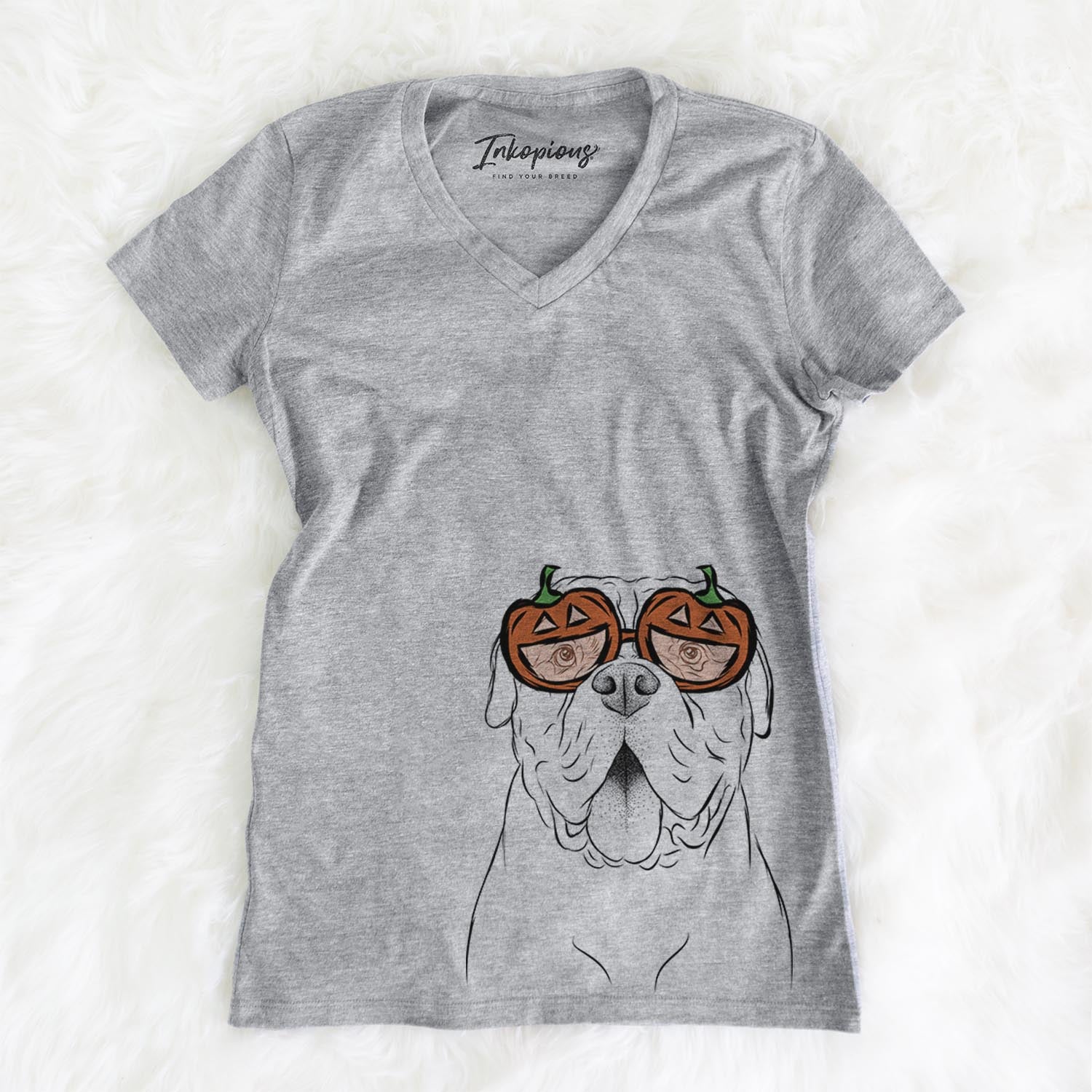 Chief the Boxer Bulldog Mix - Pumpkin Collection