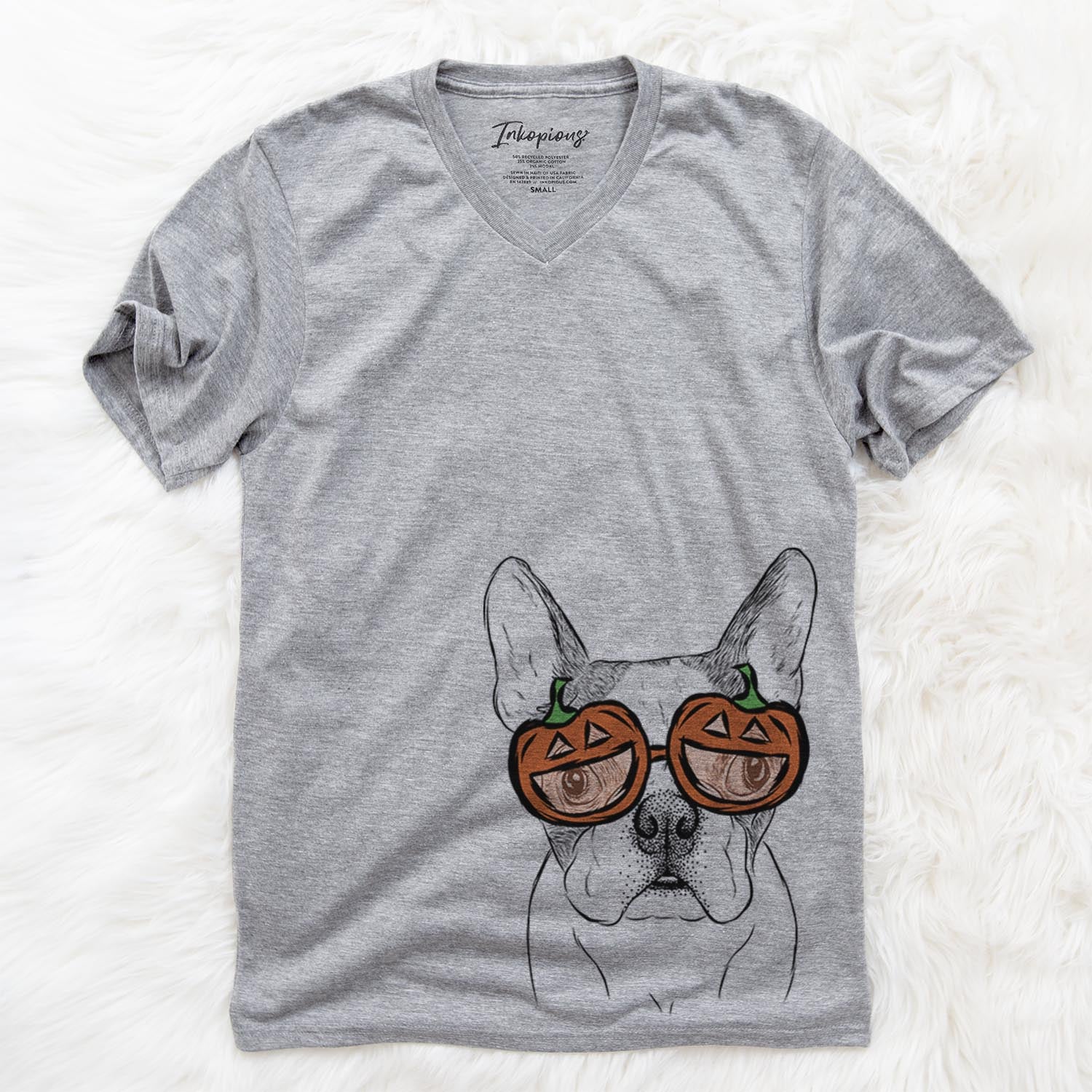 Chocolate Chip the Boston Terrier - Pumpkin Collection