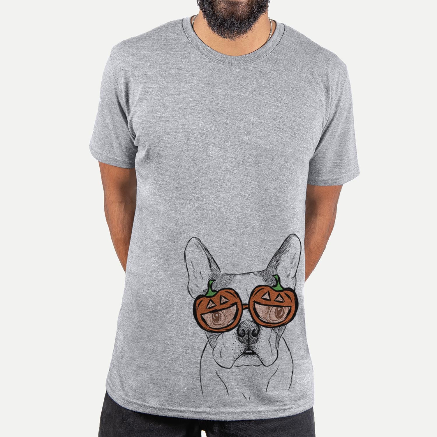 Chocolate Chip the Boston Terrier - Pumpkin Collection