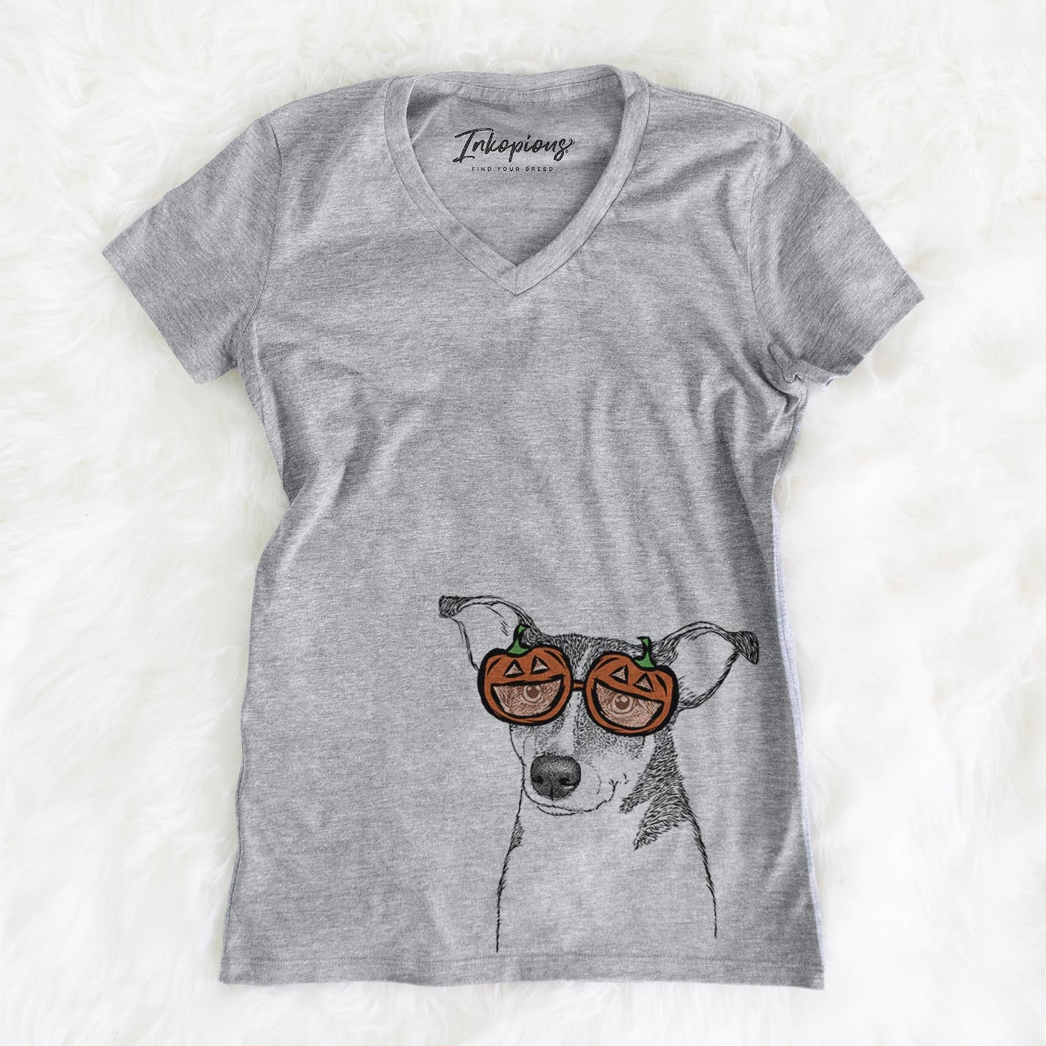 Cleo the Terrier Mix - Pumpkin Collection