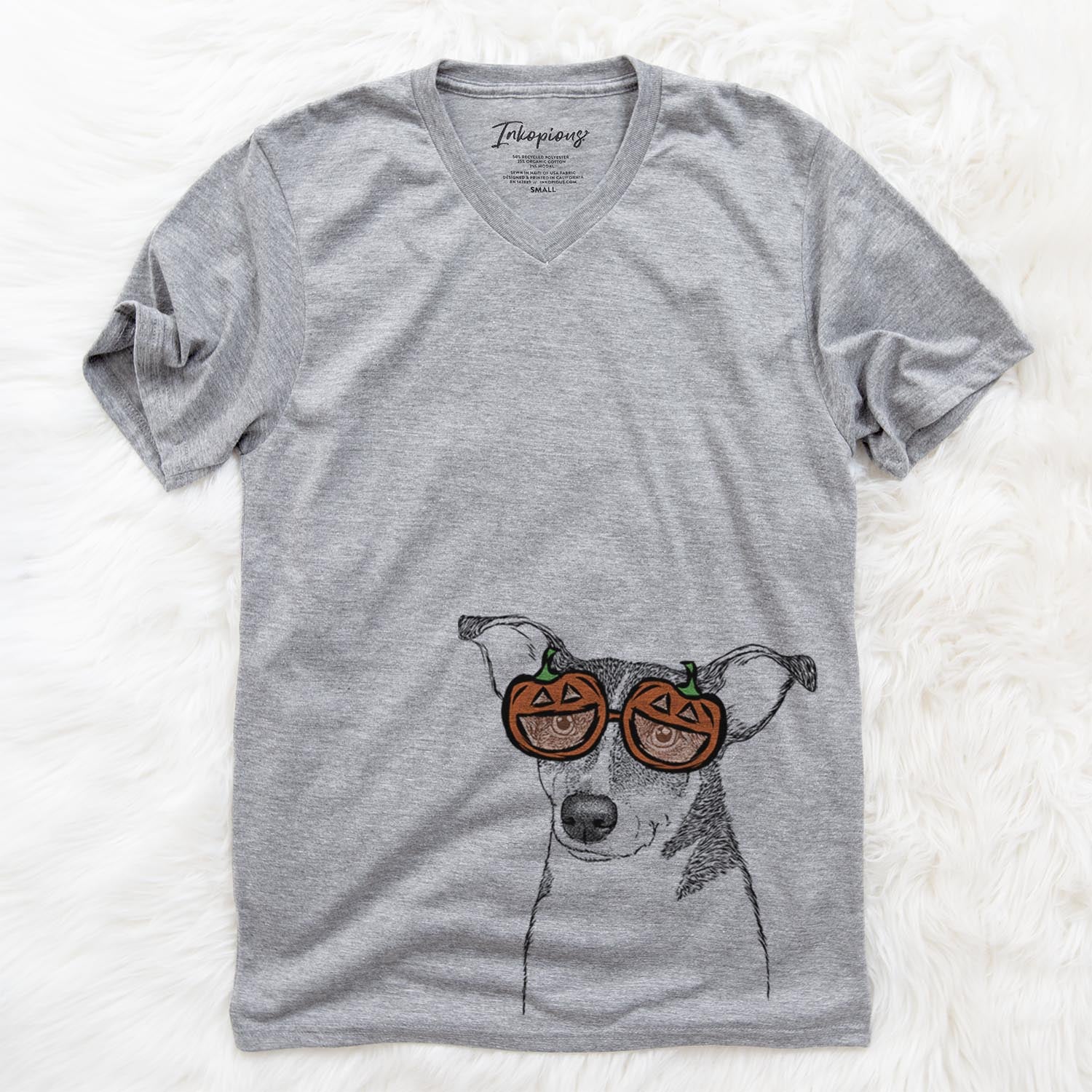Cleo the Terrier Mix - Pumpkin Collection