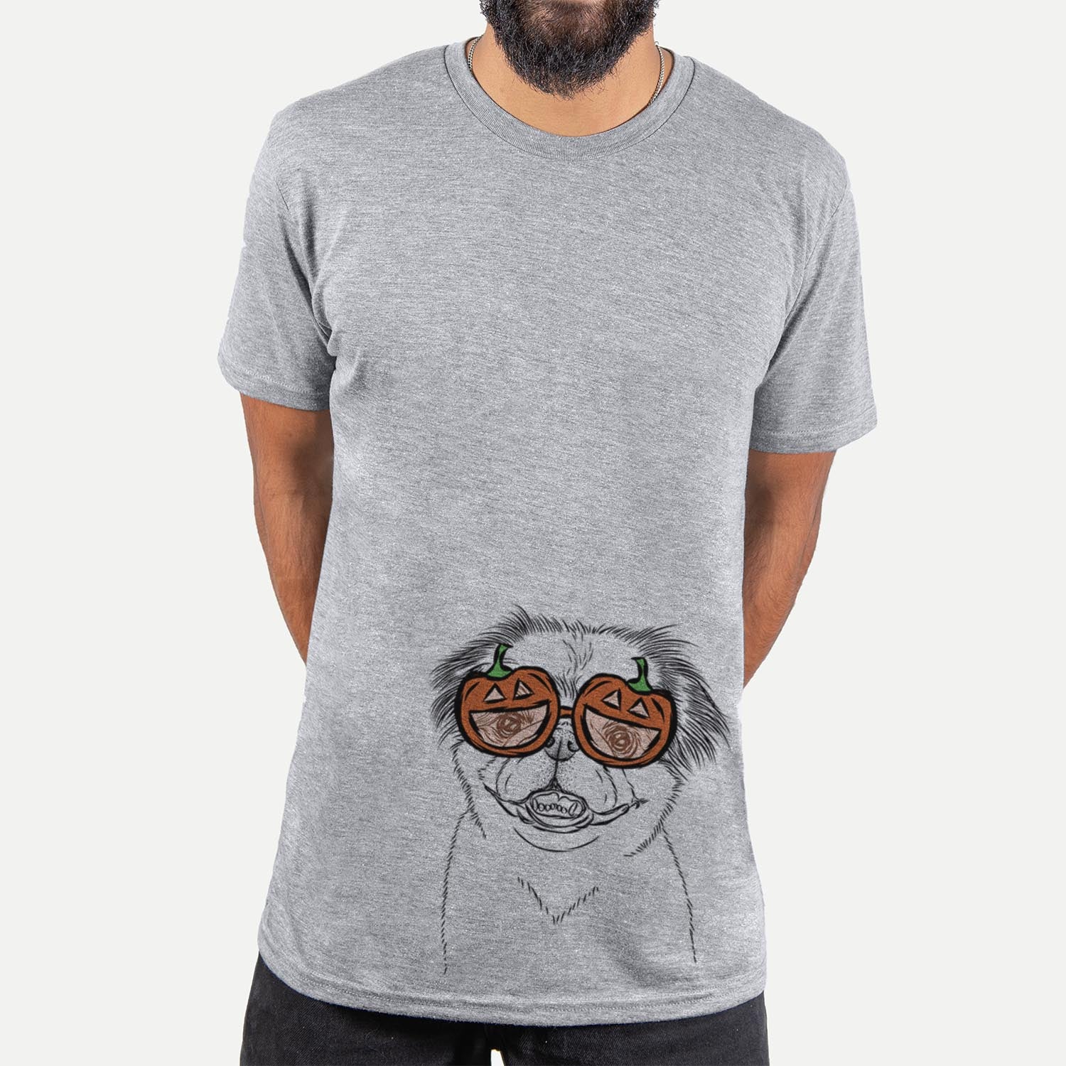 Danny the Pekingese - Pumpkin Collection