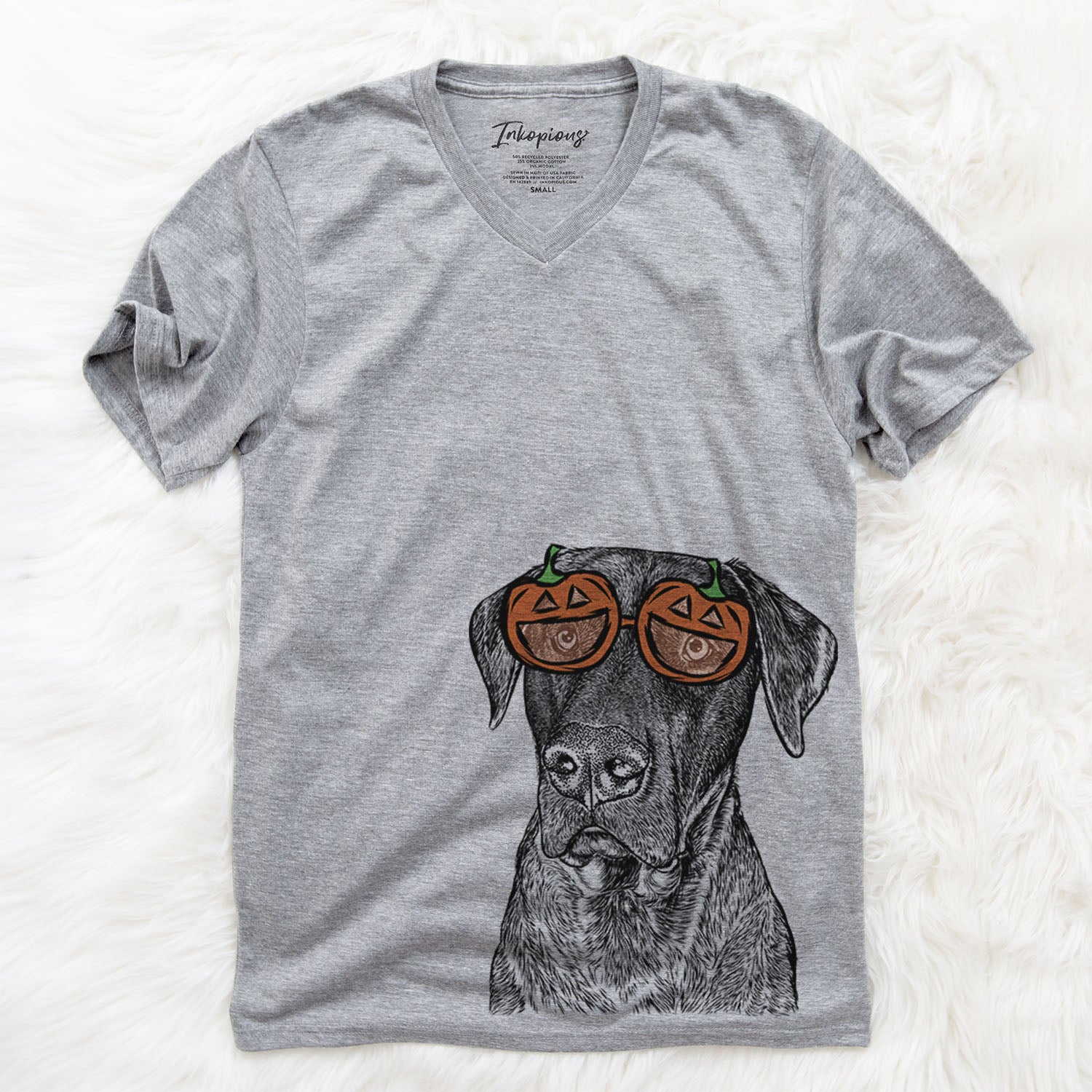Hand-drawn sketch of David the Boxador wearing pumpkin glasses on a Grey pumpkin collection