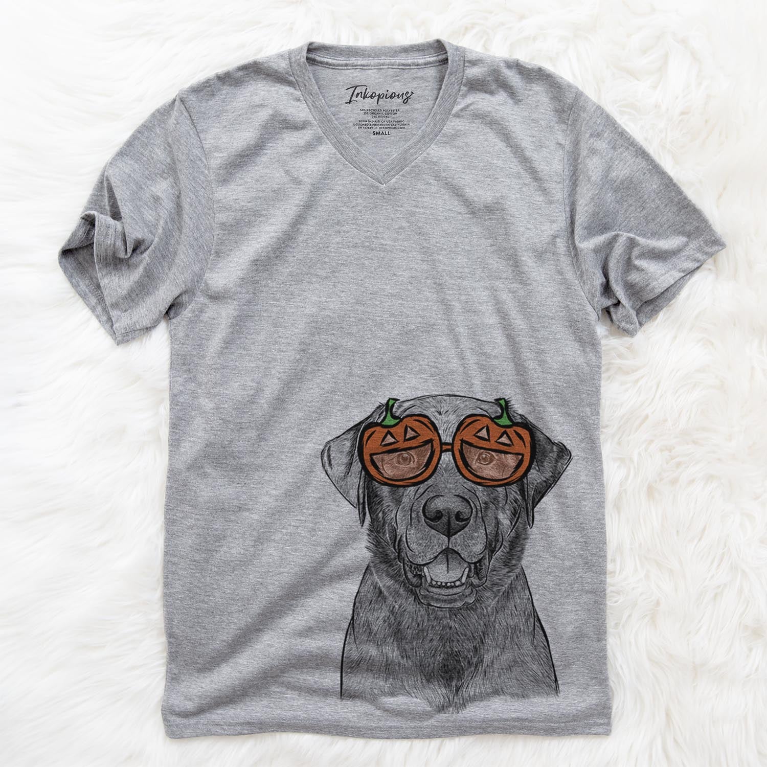 Heath the Black Lab - Pumpkin Collection