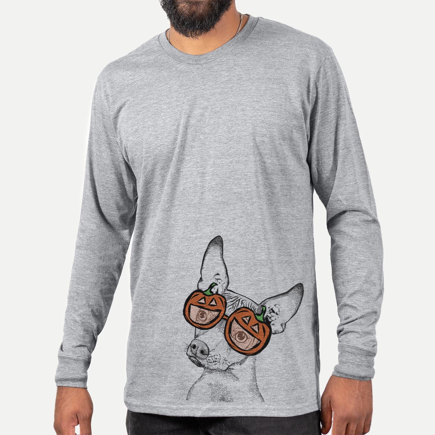 Hand-drawn sketch of Kahlo the Xoloitzcuintli wearing pumpkin glasses on a Grey pumpkin collection, hanging on a wall