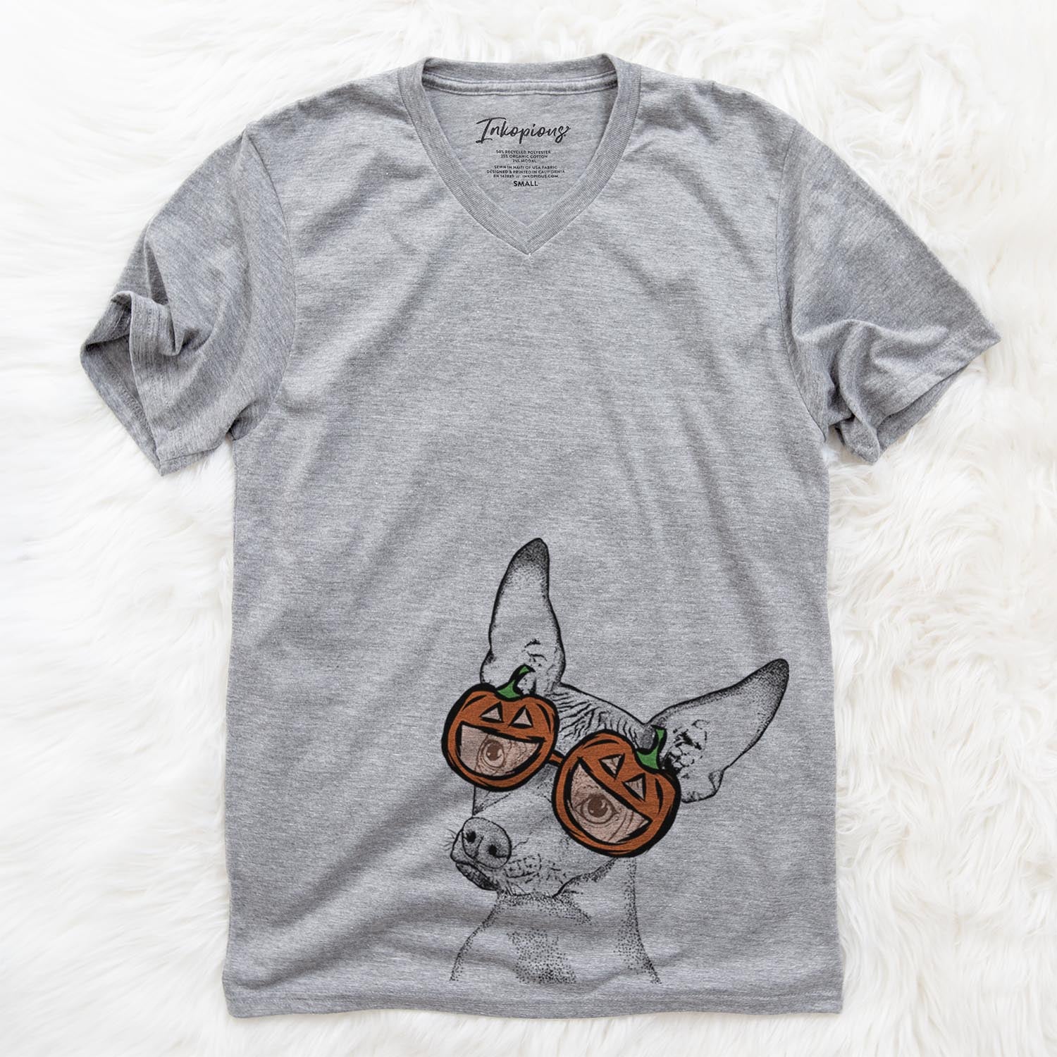 Hand-drawn sketch of Kahlo the Xoloitzcuintli wearing pumpkin glasses on a Grey pumpkin collection