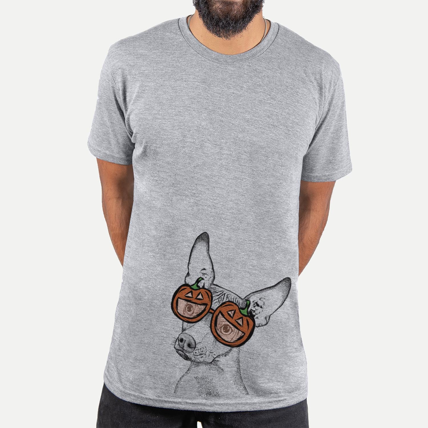 Hand-drawn sketch of Kahlo the Xoloitzcuintli wearing pumpkin glasses on a Grey pumpkin collection, hanging on a wall