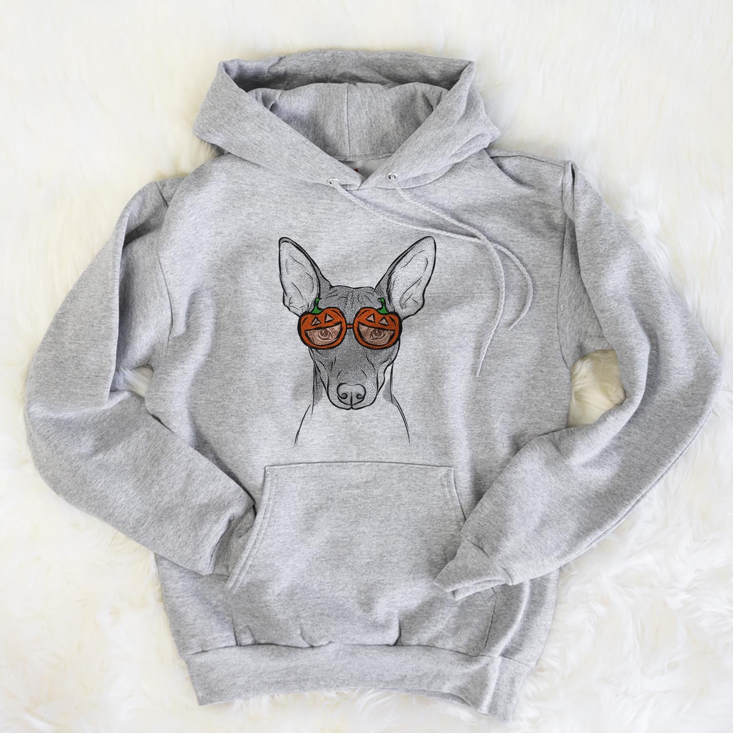 Hand-drawn sketch of Knox the Rat Terrier wearing pumpkin glasses on a Grey pumpkin collection, flat lay