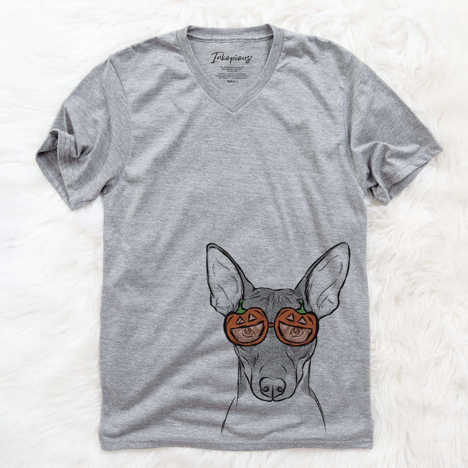 Hand-drawn sketch of Knox the Rat Terrier wearing pumpkin glasses on a Grey pumpkin collection