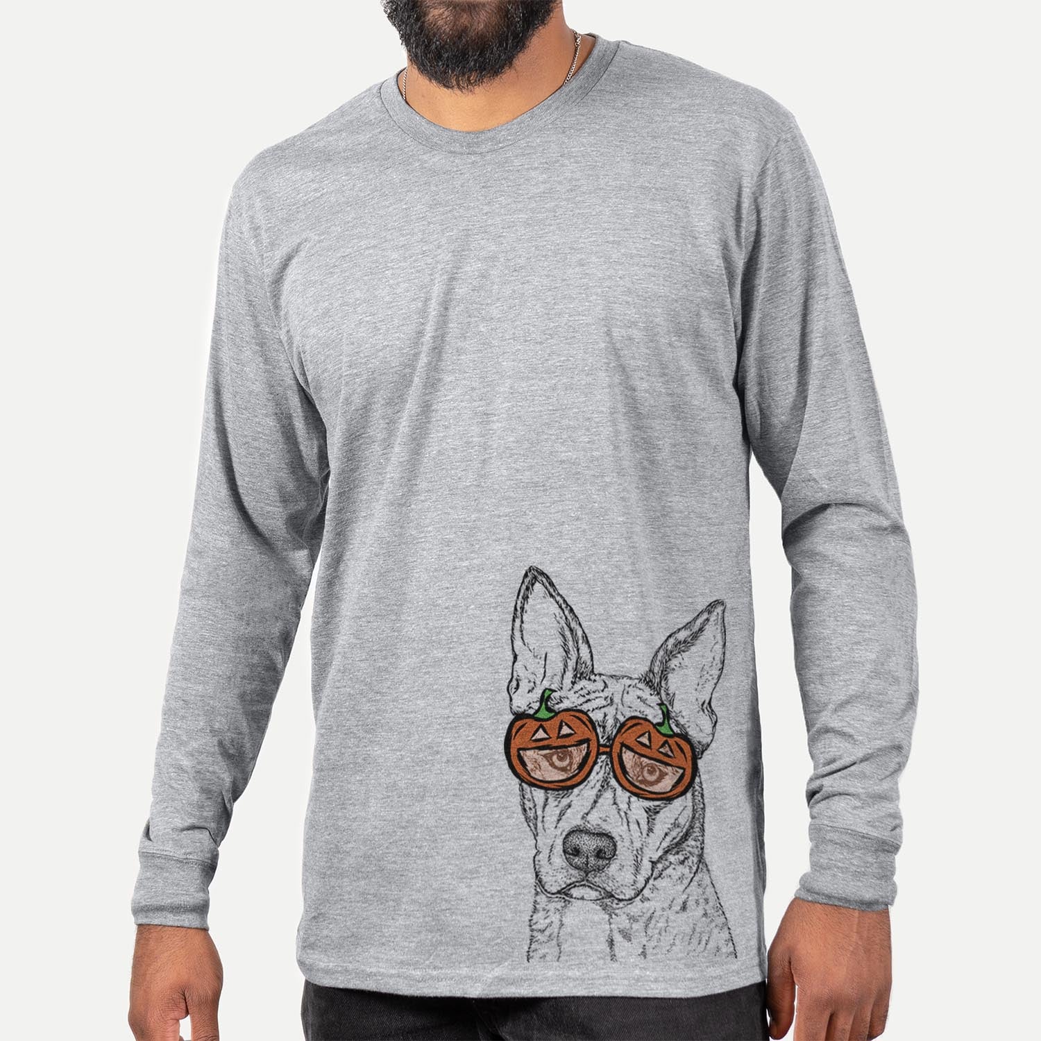 Leo the Ibizan Hound Bull Mastiff Mix - Pumpkin Collection