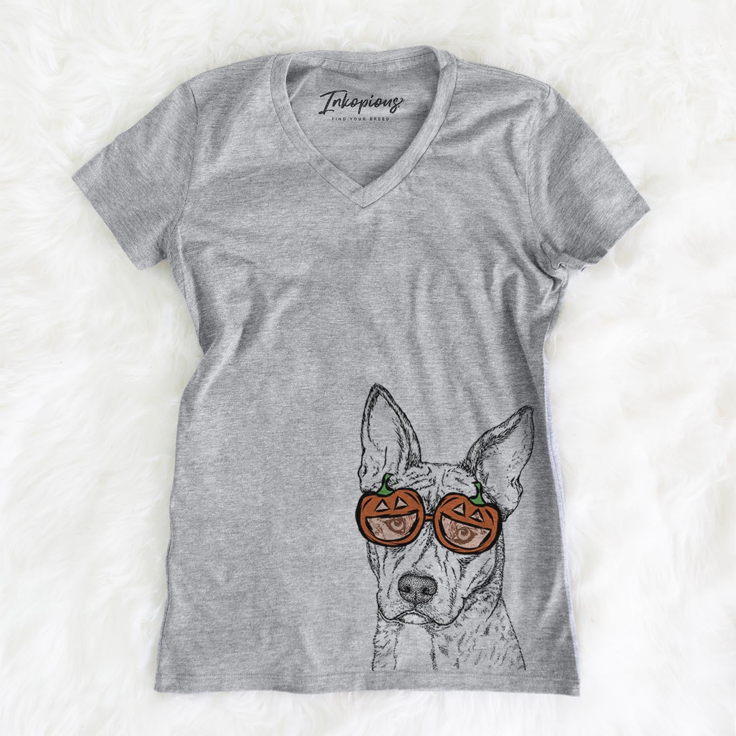 Leo the Ibizan Hound Bull Mastiff Mix - Pumpkin Collection