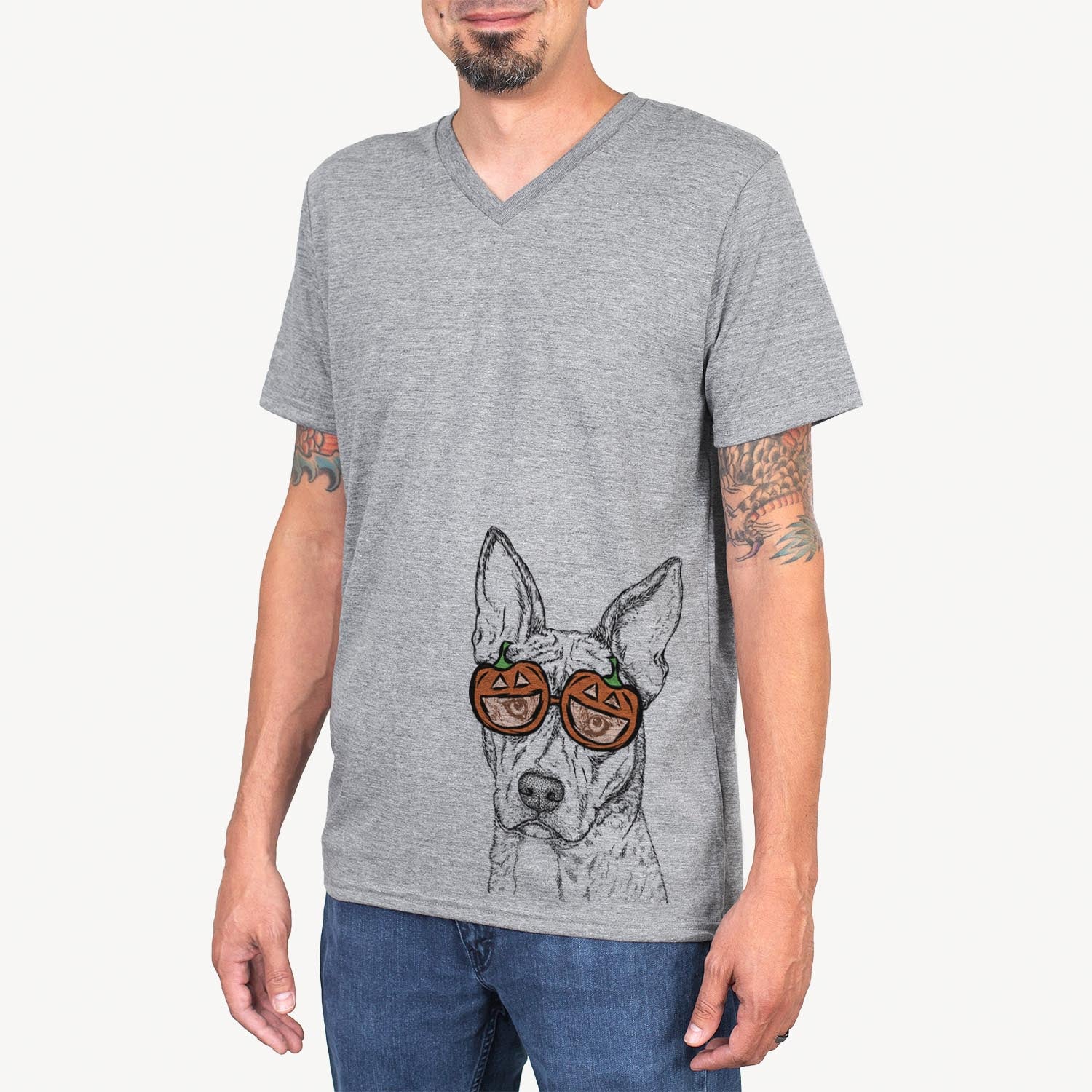 Leo the Ibizan Hound Bull Mastiff Mix - Pumpkin Collection