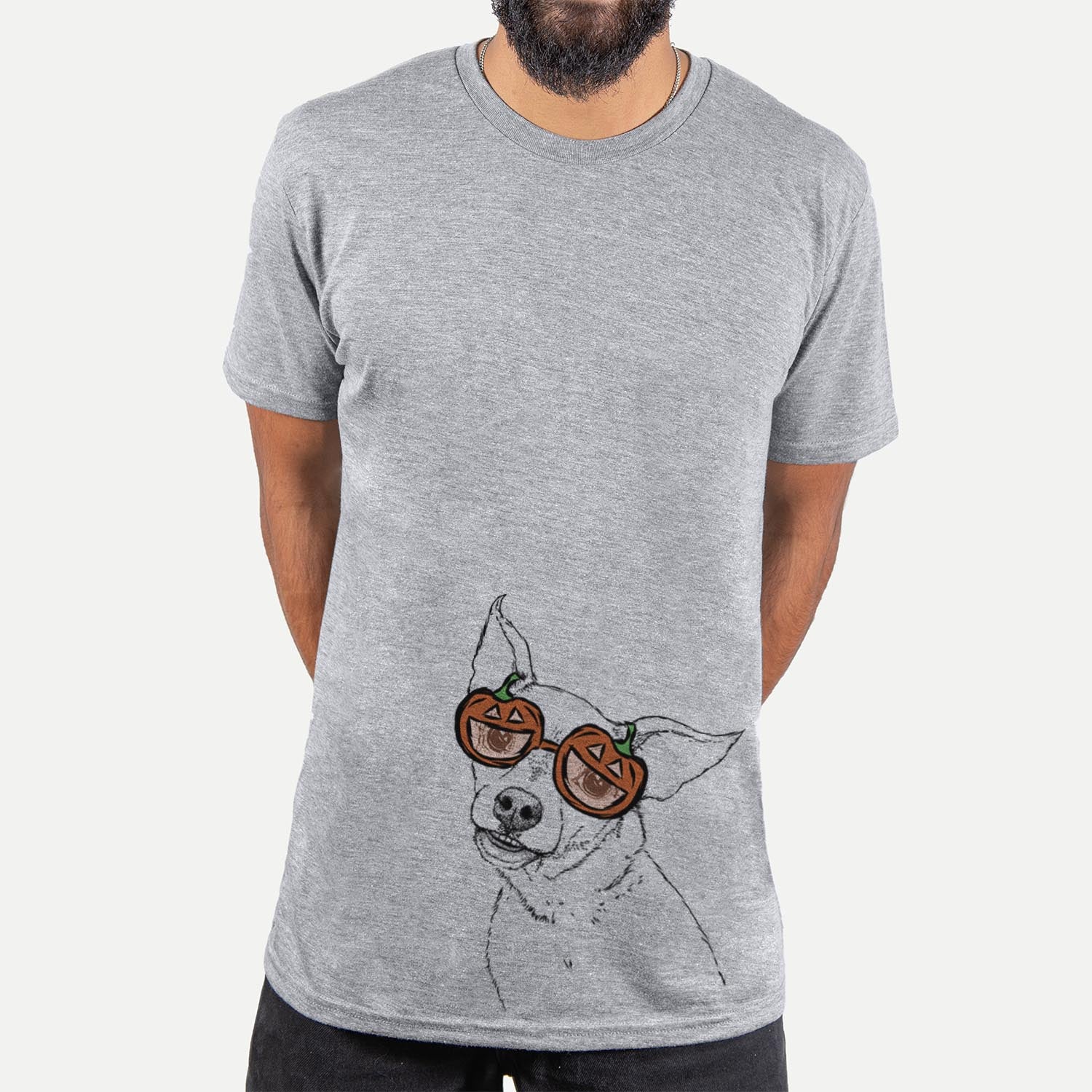 Lola the Chiweenie - Pumpkin Collection