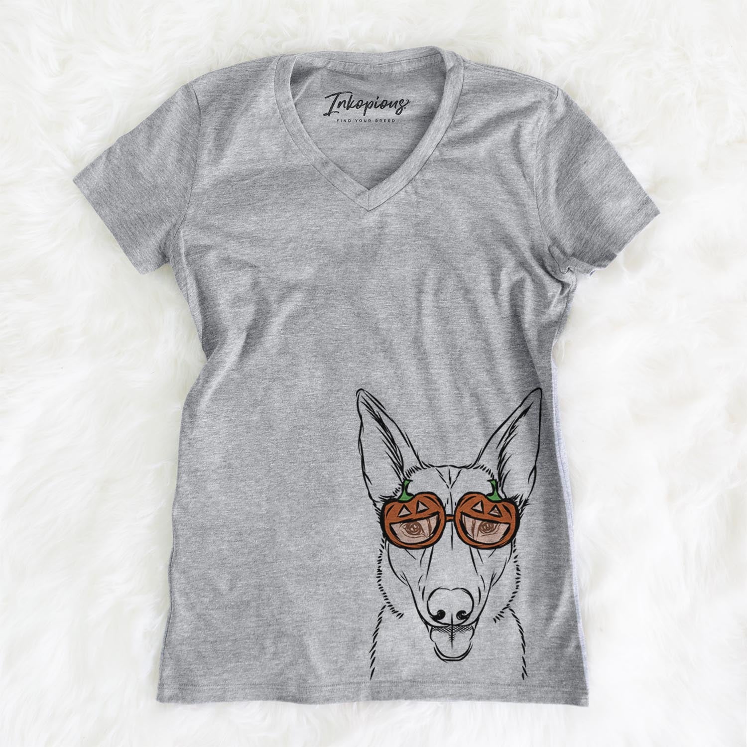 Lyric the Belgian Malinois - Pumpkin Collection