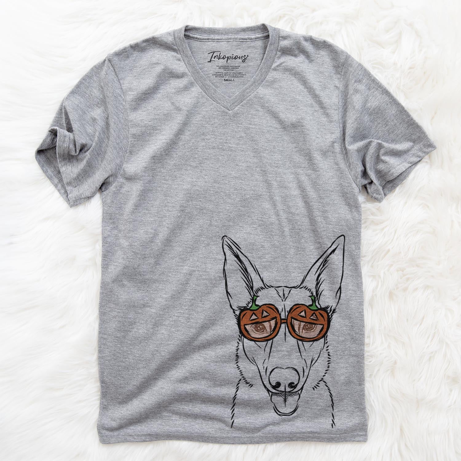 Lyric the Belgian Malinois - Pumpkin Collection