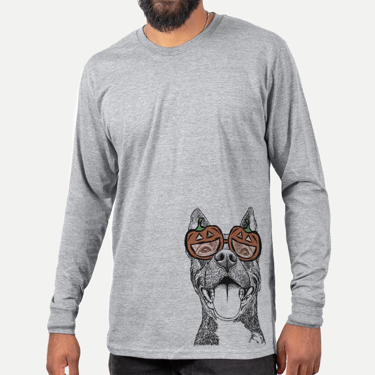 Milo the Pitbull Mix - Pumpkin Collection