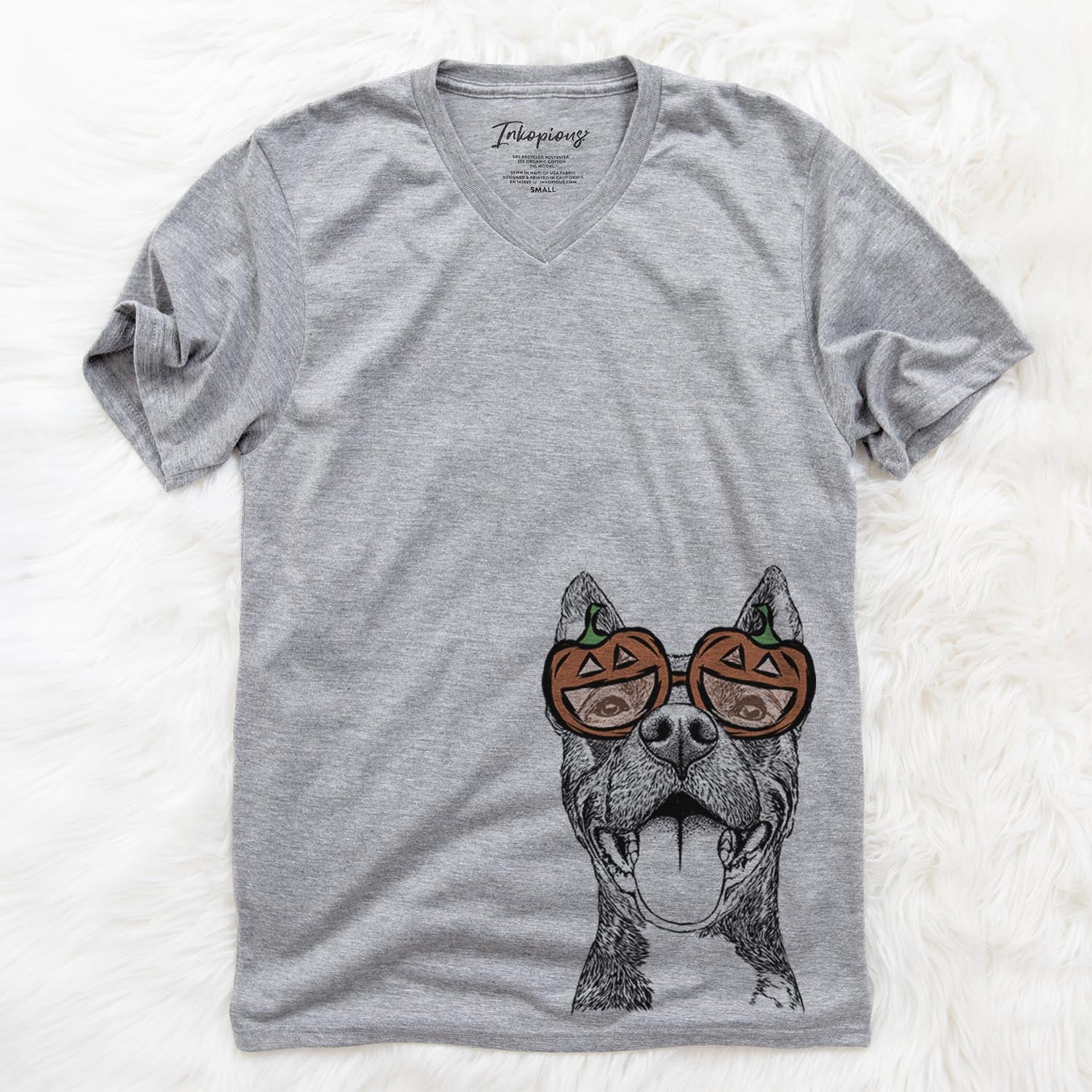 Milo the Pitbull Mix - Pumpkin Collection