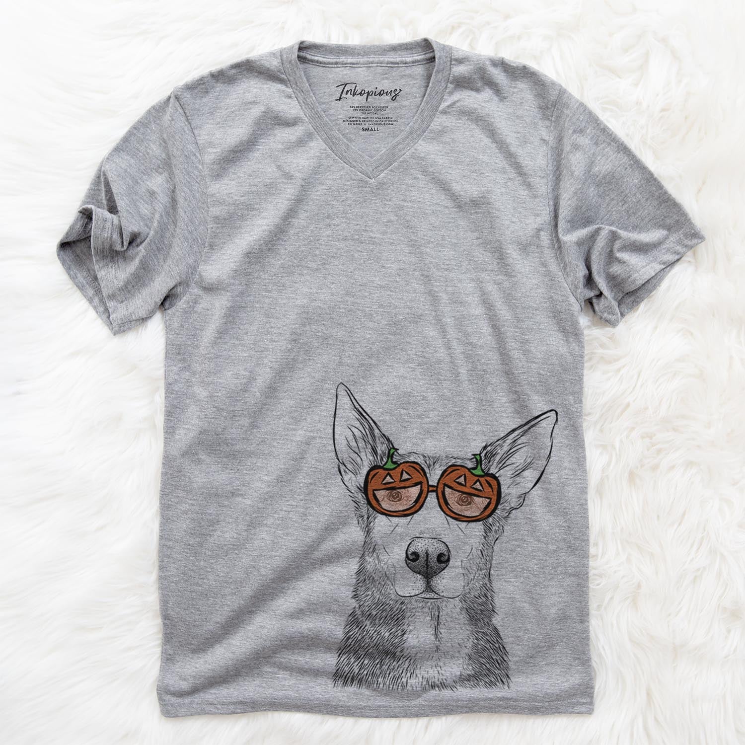 Misty the German Shepherd Mix - Pumpkin Collection