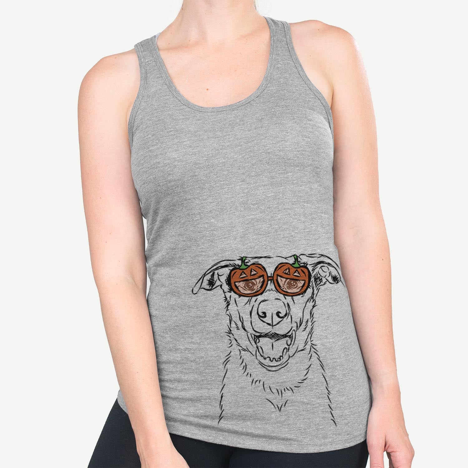 Noah the Border Collie - Pumpkin Collection