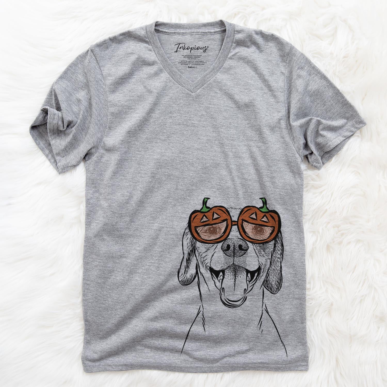 Obi the Beagle Mix - Pumpkin Collection