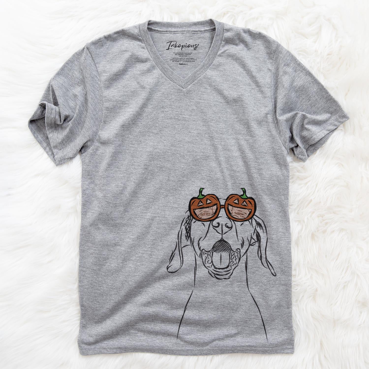 Ollie the Vizsla - Pumpkin Collection