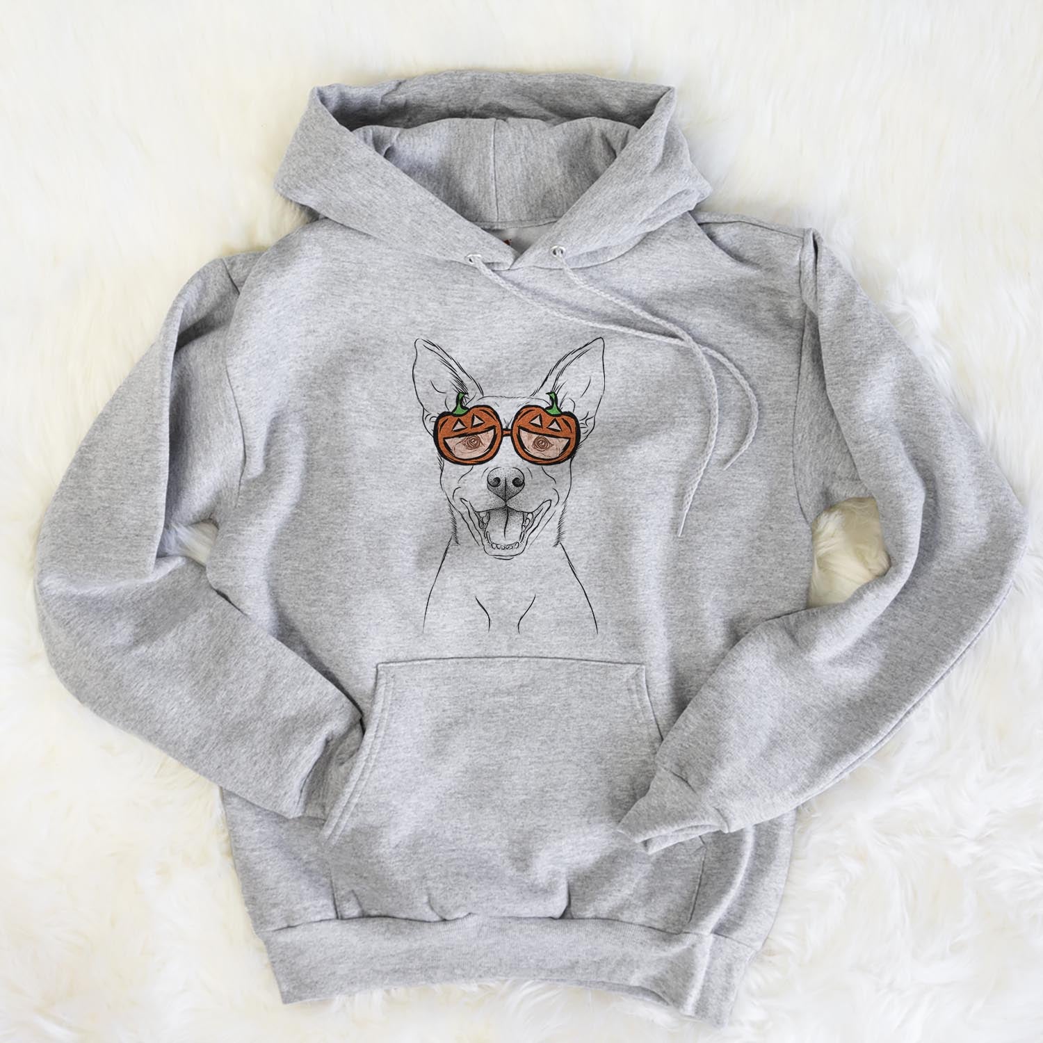 Hand-drawn sketch of Orange the Carolina Dog wearing pumpkin glasses on a Grey pumpkin collection, flat lay
