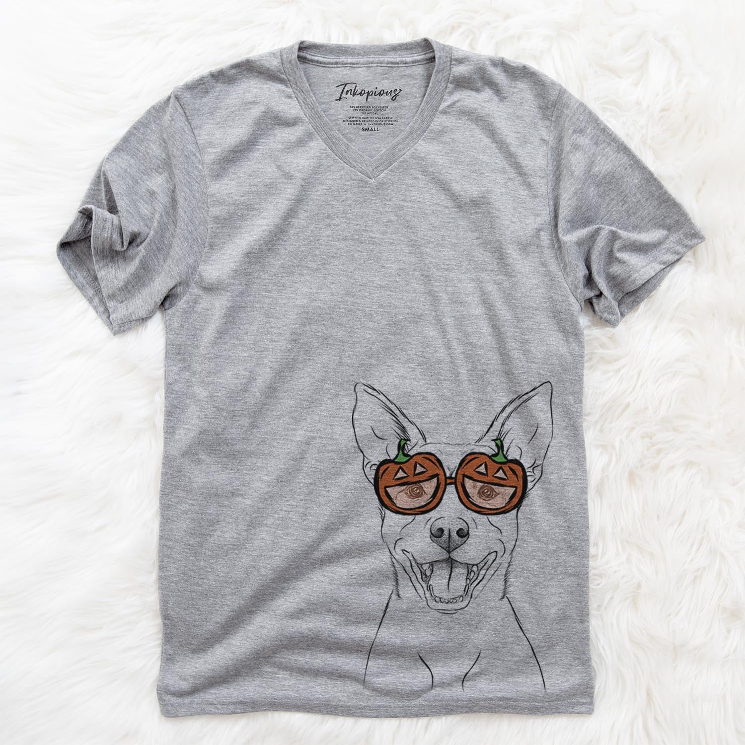 Hand-drawn sketch of Orange the Carolina Dog wearing pumpkin glasses on a Grey pumpkin collection