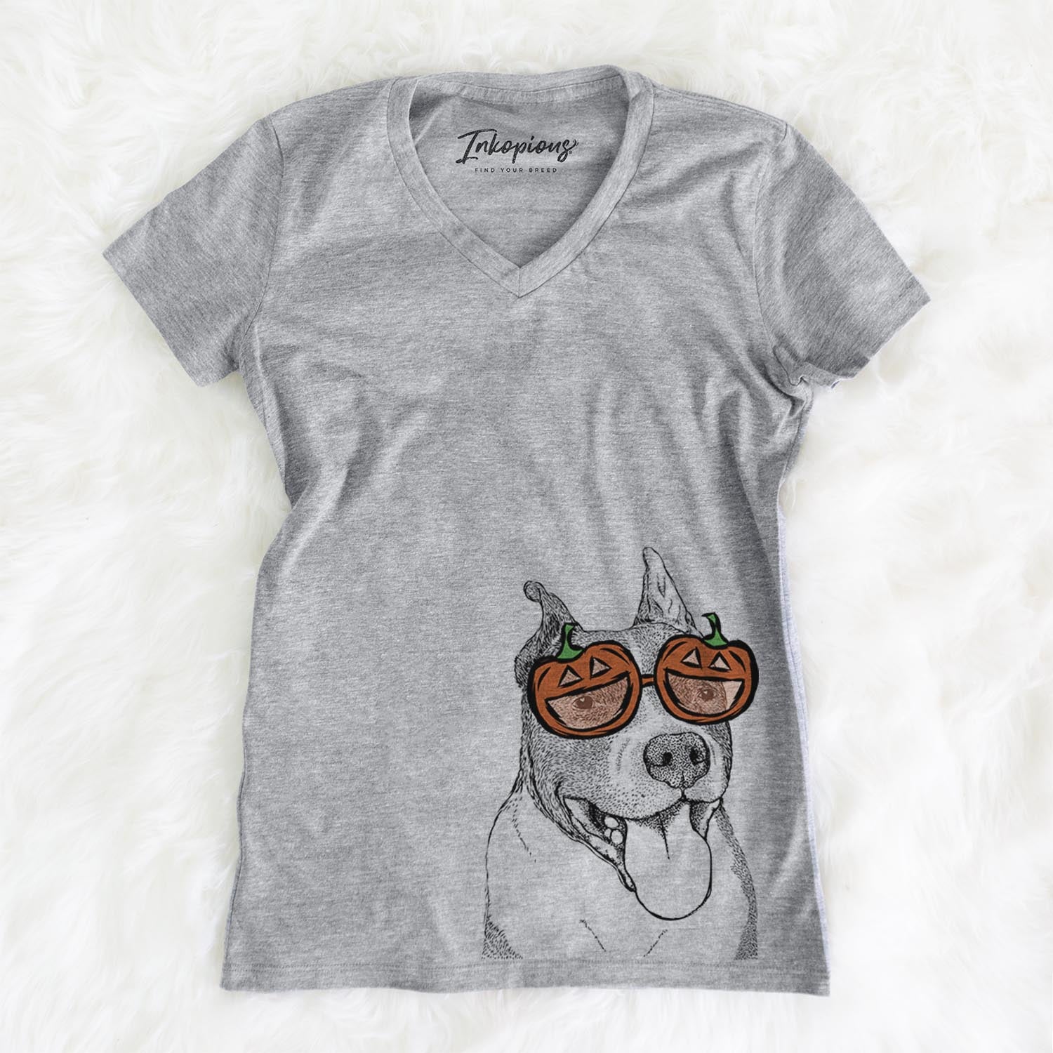 Piggy the American Staffordshire Terrier - Pumpkin Collection