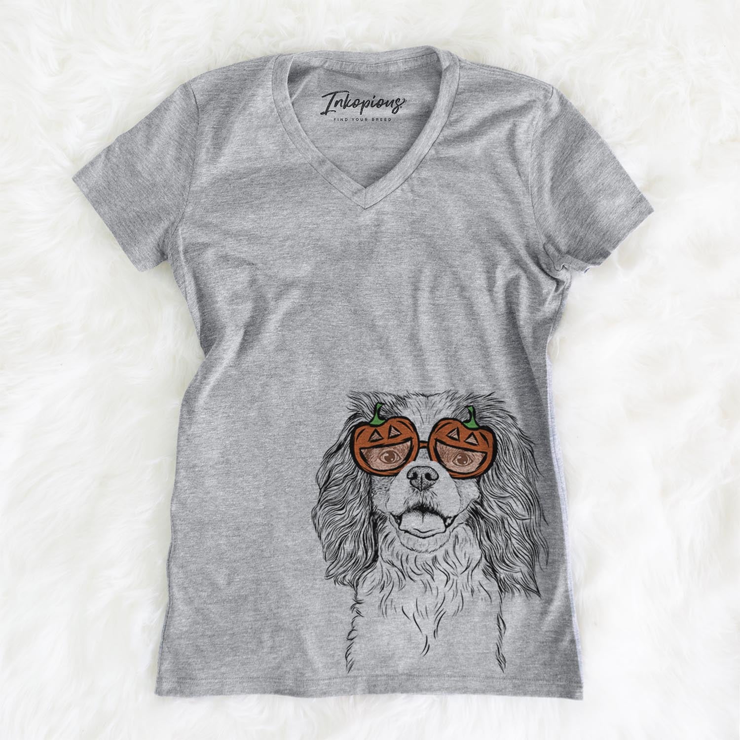 Poppy the Cavalier King Charles Spaniel - Pumpkin Collection