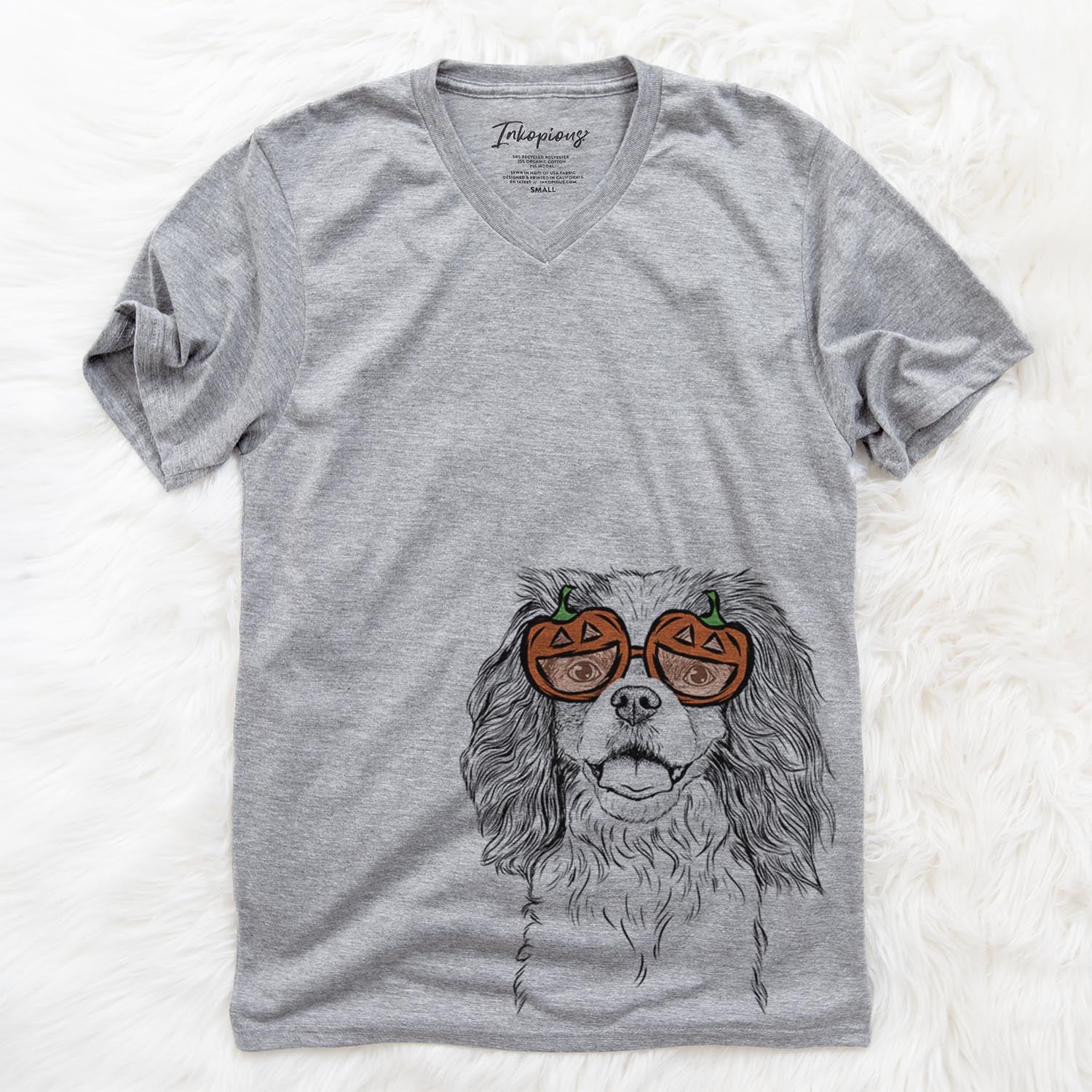 Poppy the Cavalier King Charles Spaniel - Pumpkin Collection