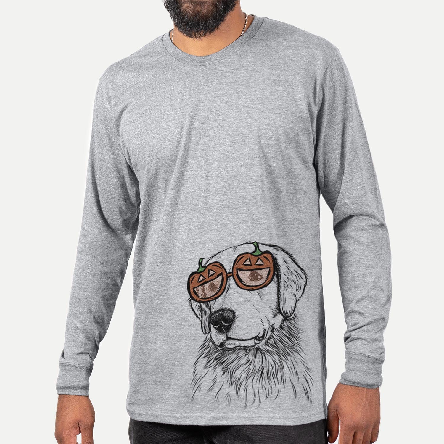 Quinn the Golden Retriever - Pumpkin Collection