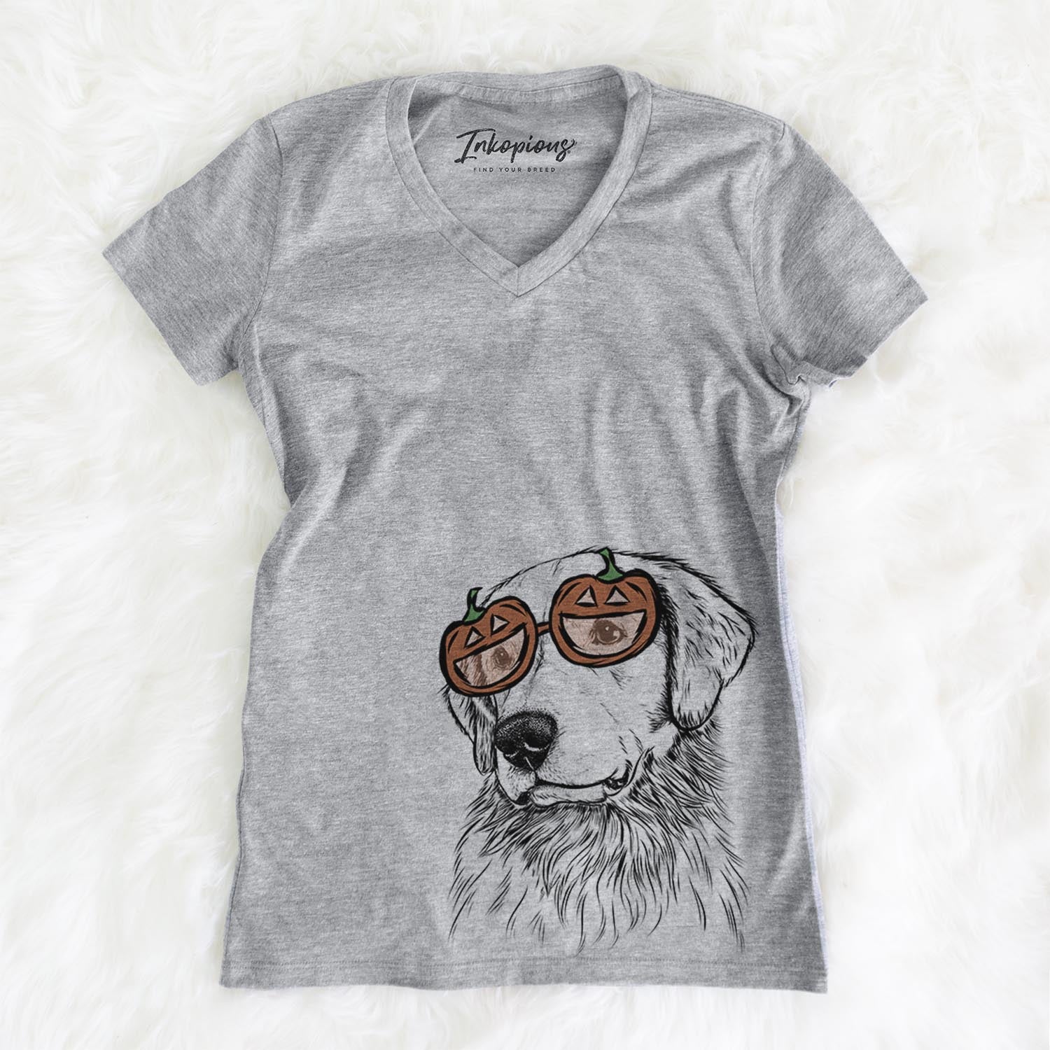 Quinn the Golden Retriever - Pumpkin Collection