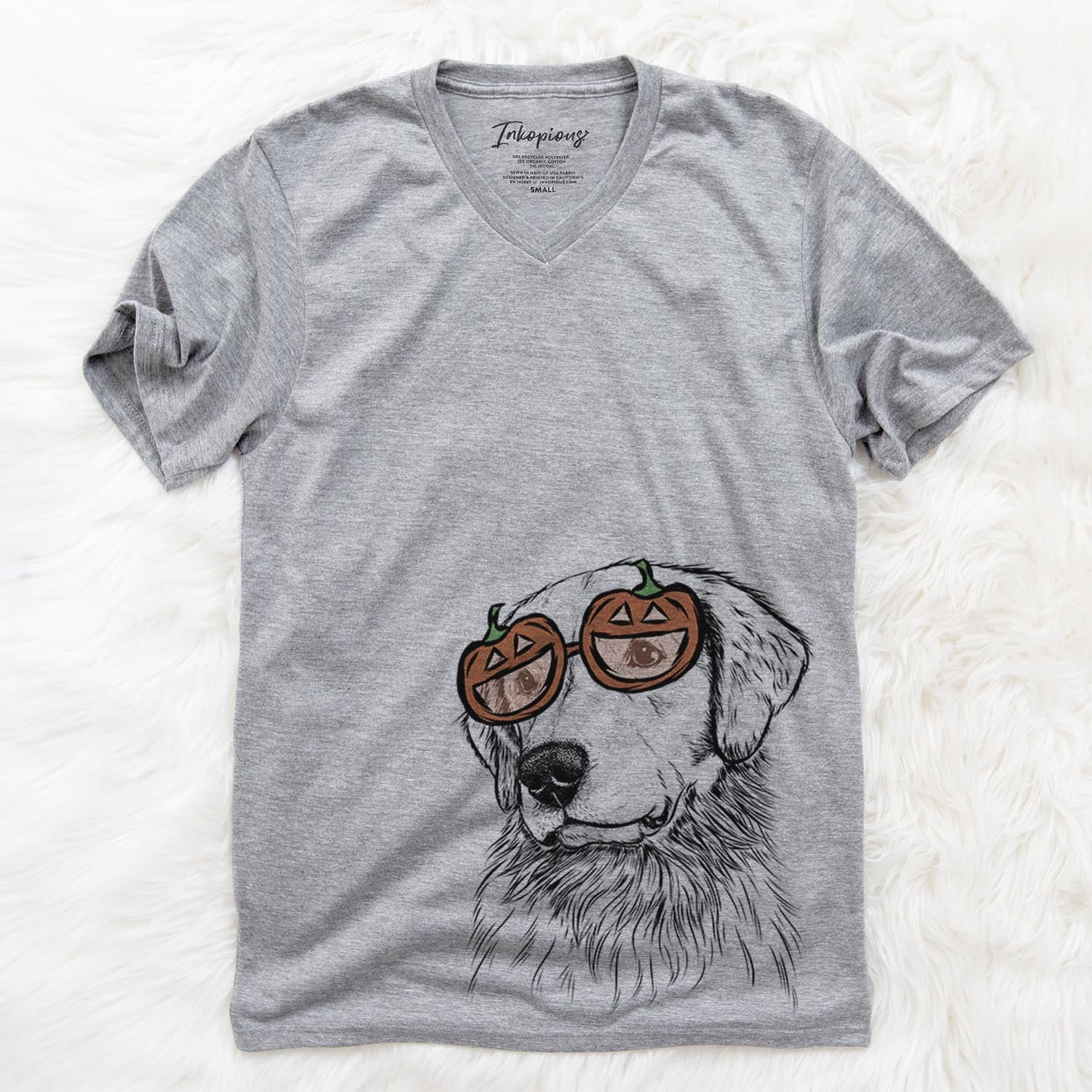 Quinn the Golden Retriever - Pumpkin Collection