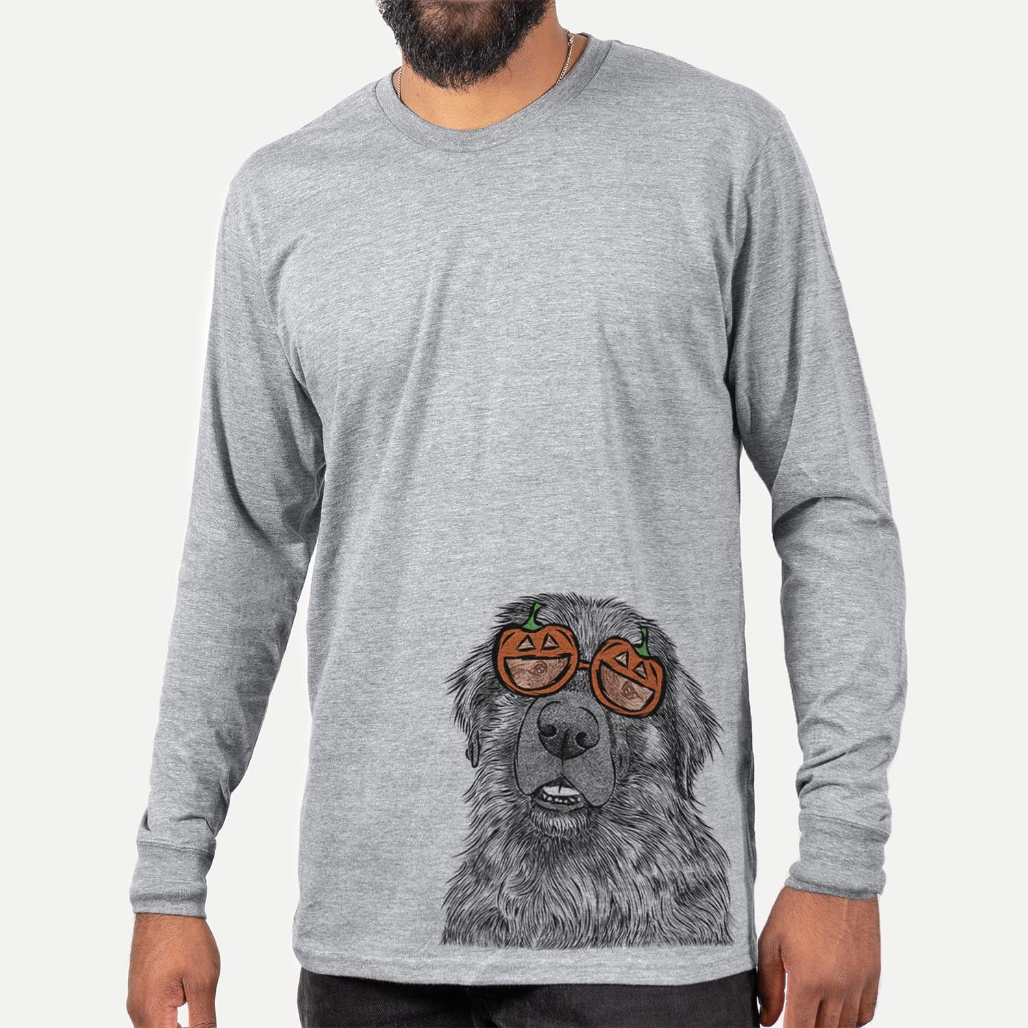Hand-drawn sketch of Ralph the Leonberger wearing pumpkin glasses on a Grey pumpkin collection, hanging on a wall