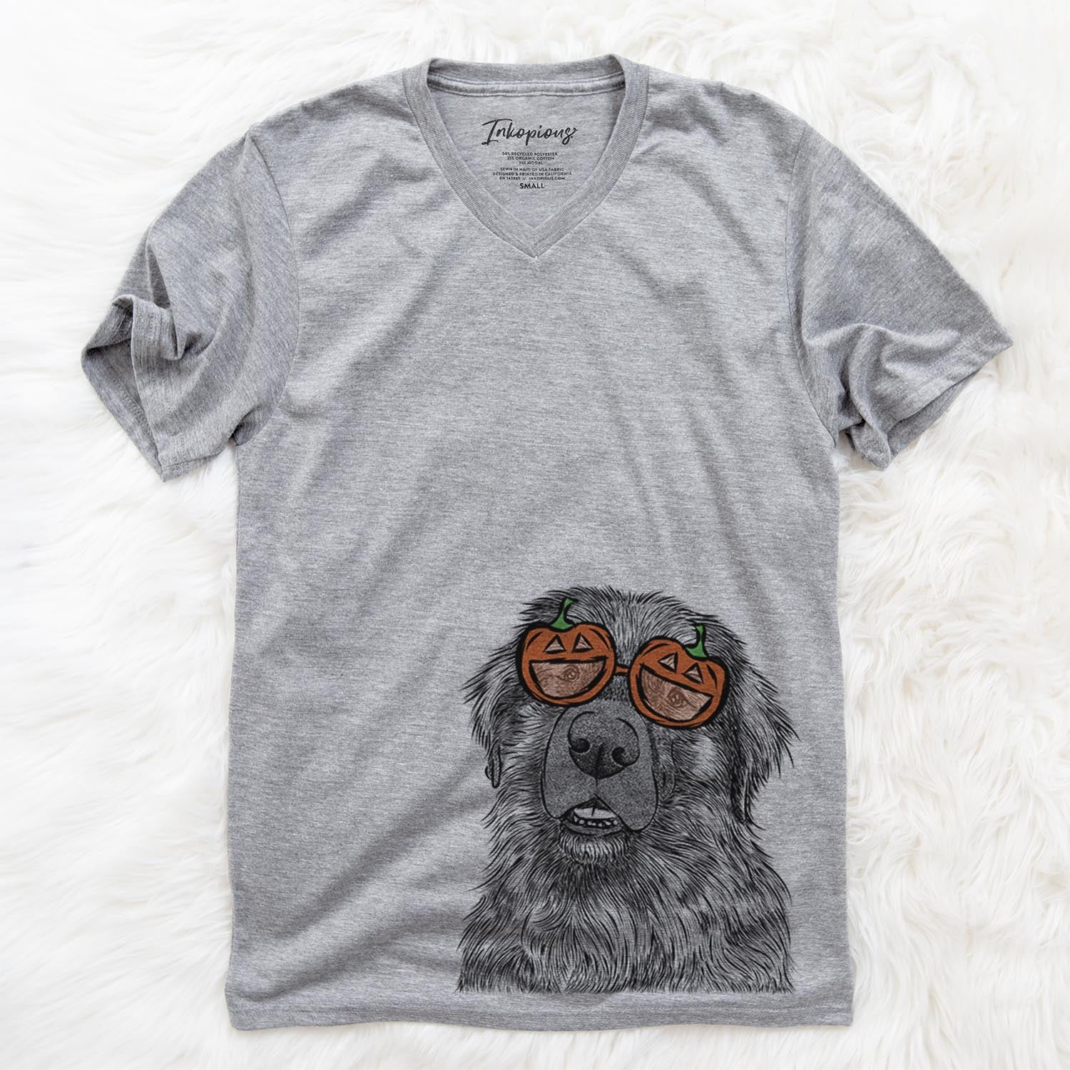 Hand-drawn sketch of Ralph the Leonberger wearing pumpkin glasses on a Grey pumpkin collection