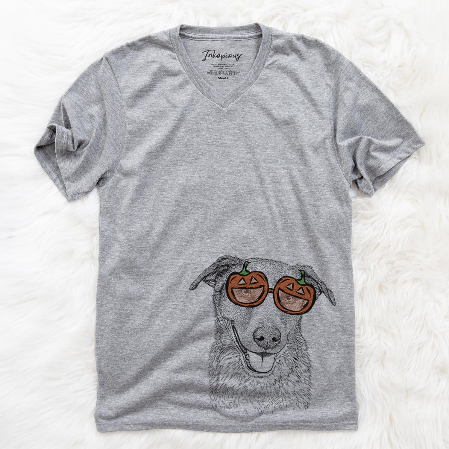 Reef the Mixed Breed - Pumpkin Collection