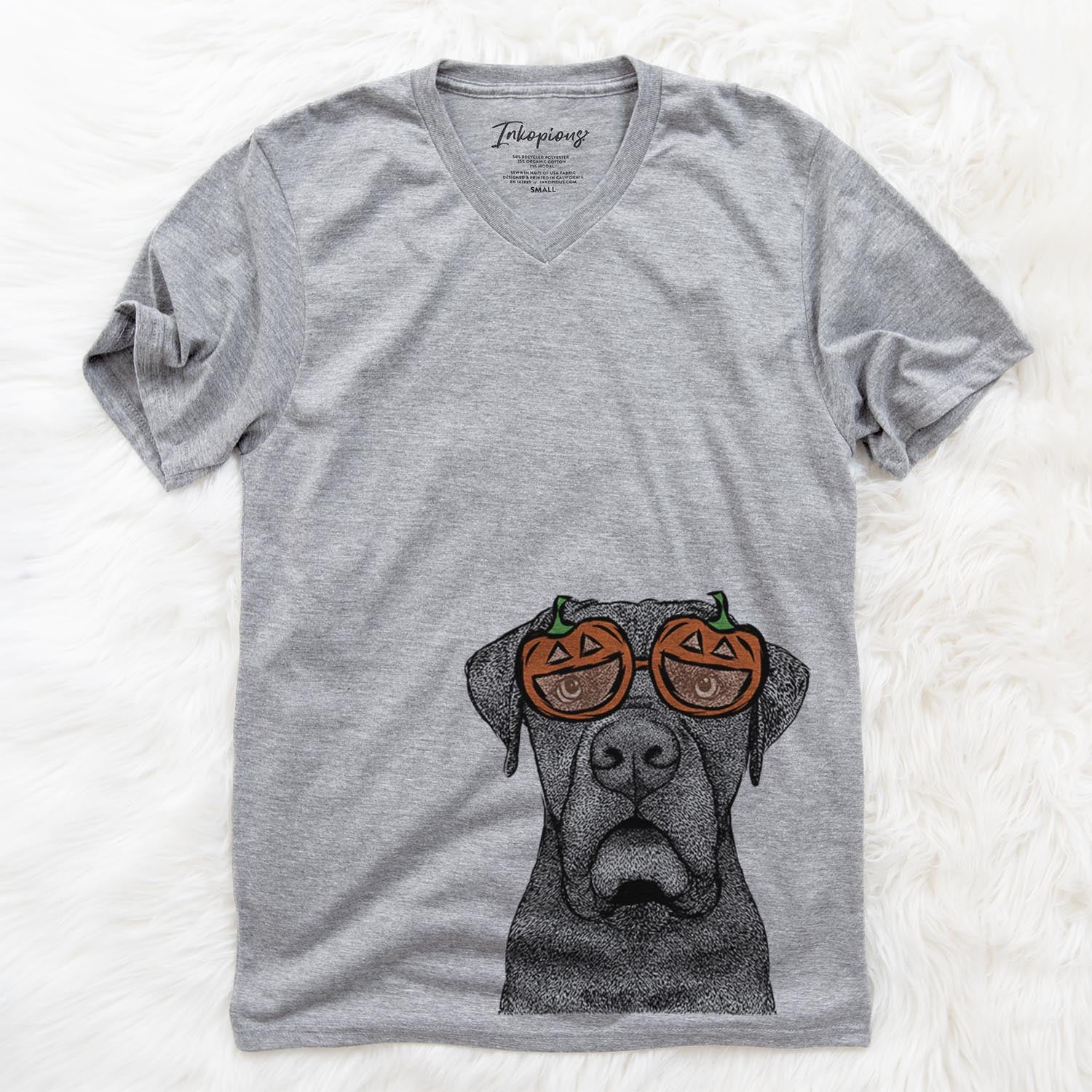 Hand-drawn sketch of Rocco the Cane Corso wearing pumpkin glasses on a Grey pumpkin collection