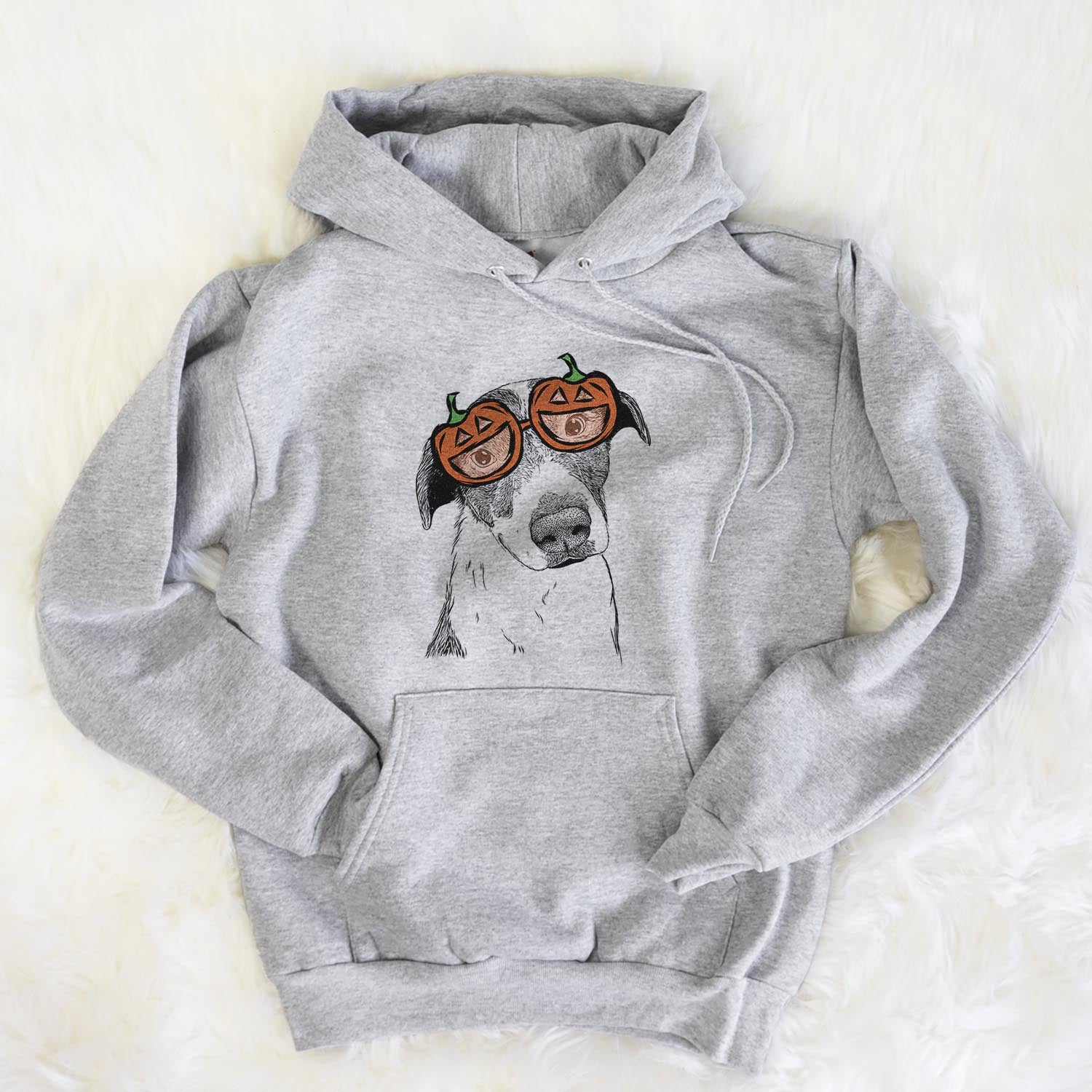 Hand-drawn sketch of Sophia the Mixed Breed wearing pumpkin glasses on a Grey pumpkin collection, flat lay