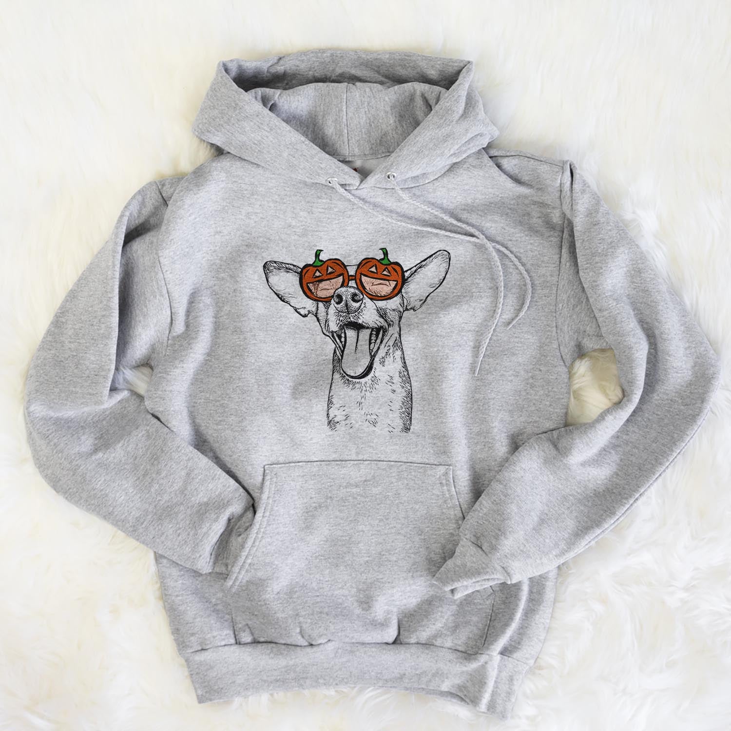 Hand-drawn sketch of Sweet Bailey the Chihuahua Mix wearing pumpkin glasses on a Grey pumpkin collection, flat lay