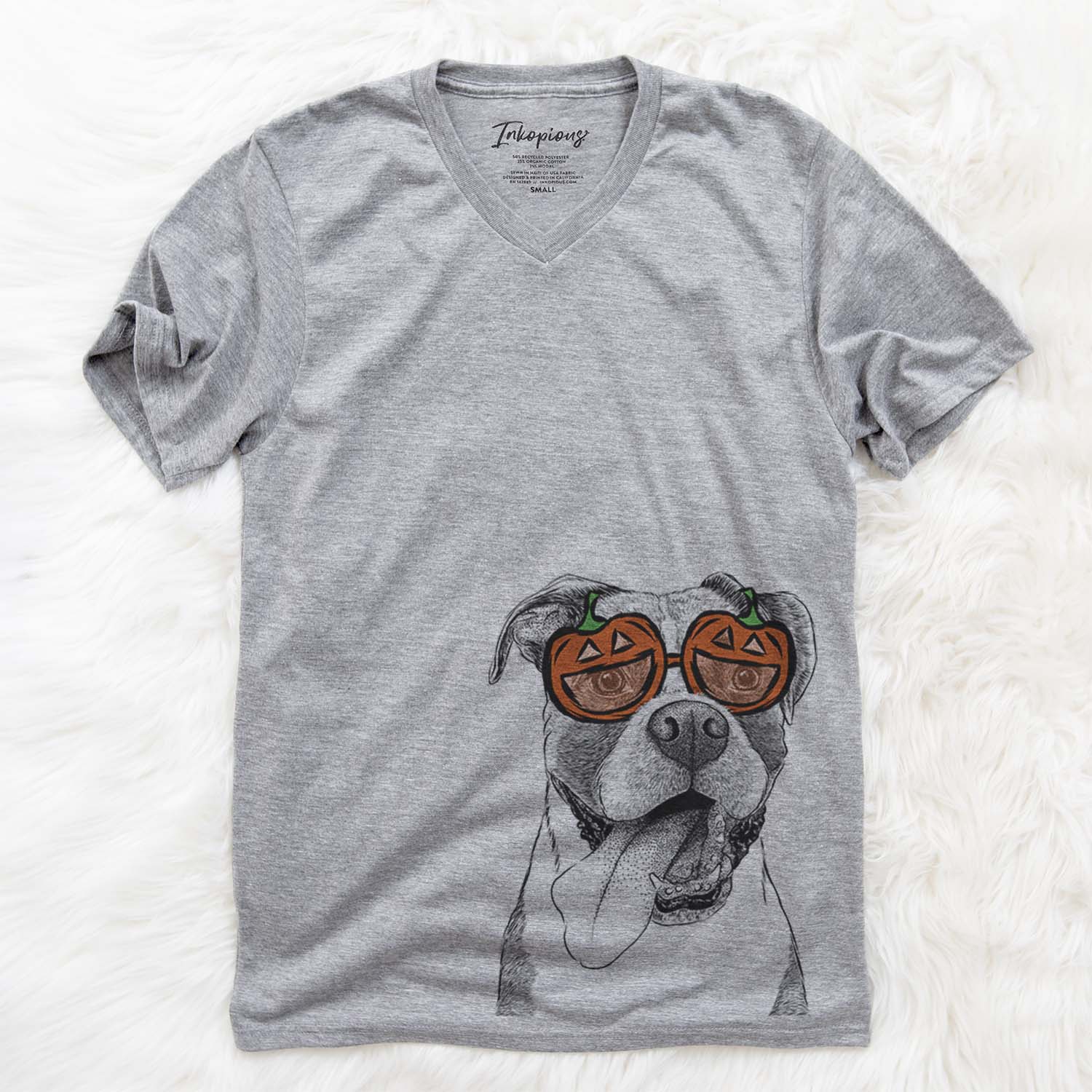 Tuckeroo the Boxer - Pumpkin Collection