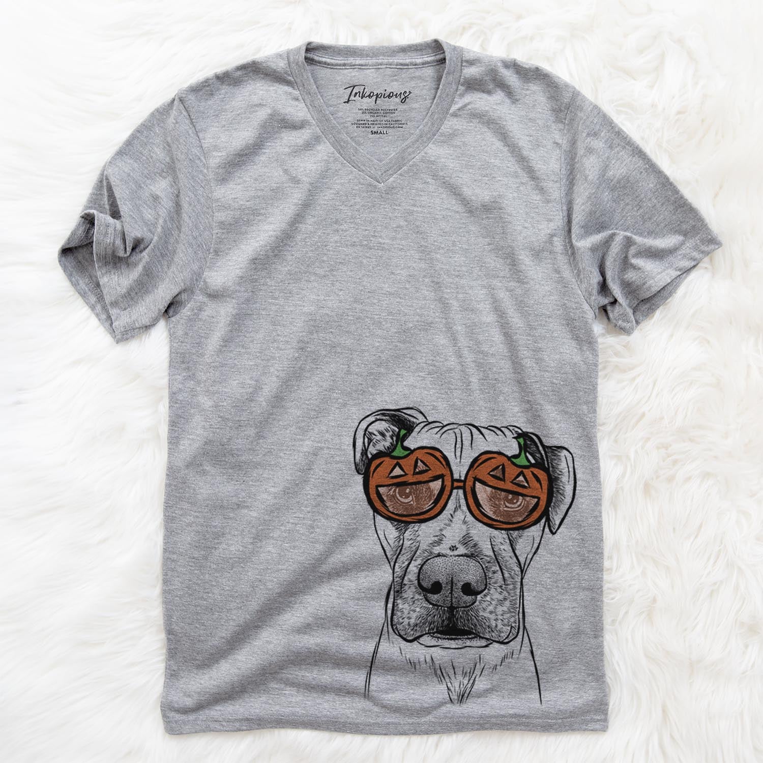 Hand-drawn sketch of Waylon the Boxane wearing pumpkin glasses on a Grey pumpkin collection