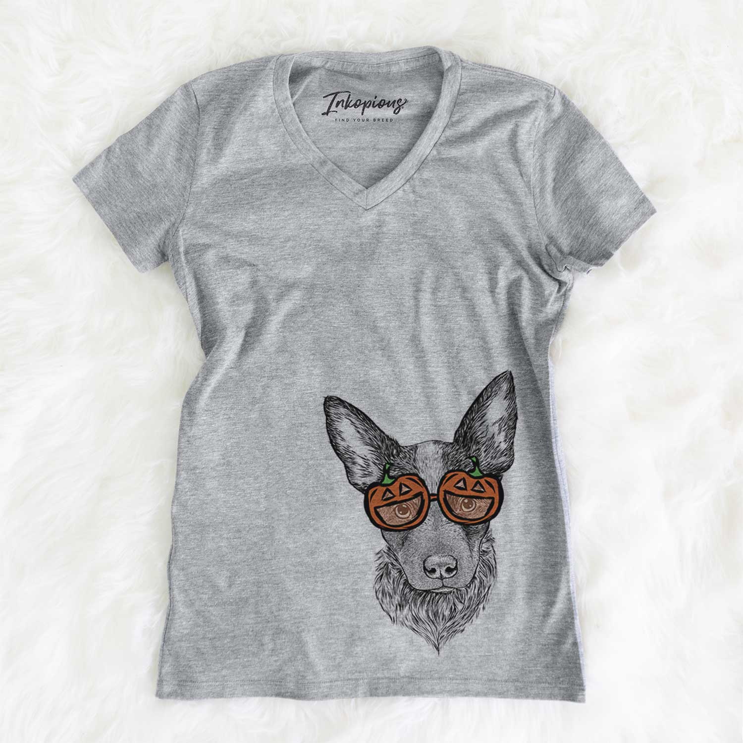 Bella the Blue Heeler Puppy - Pumpkin Collection