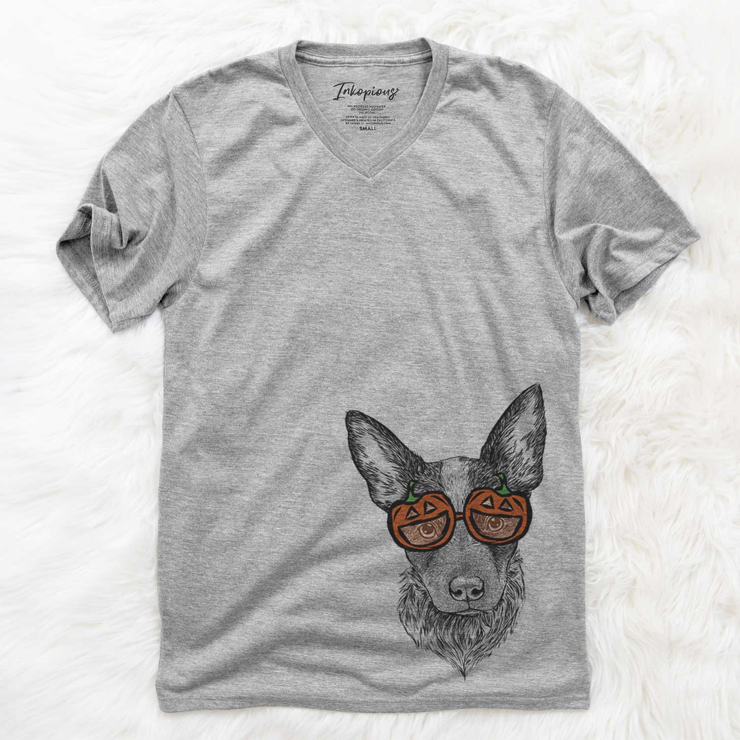 Bella the Blue Heeler Puppy - Pumpkin Collection