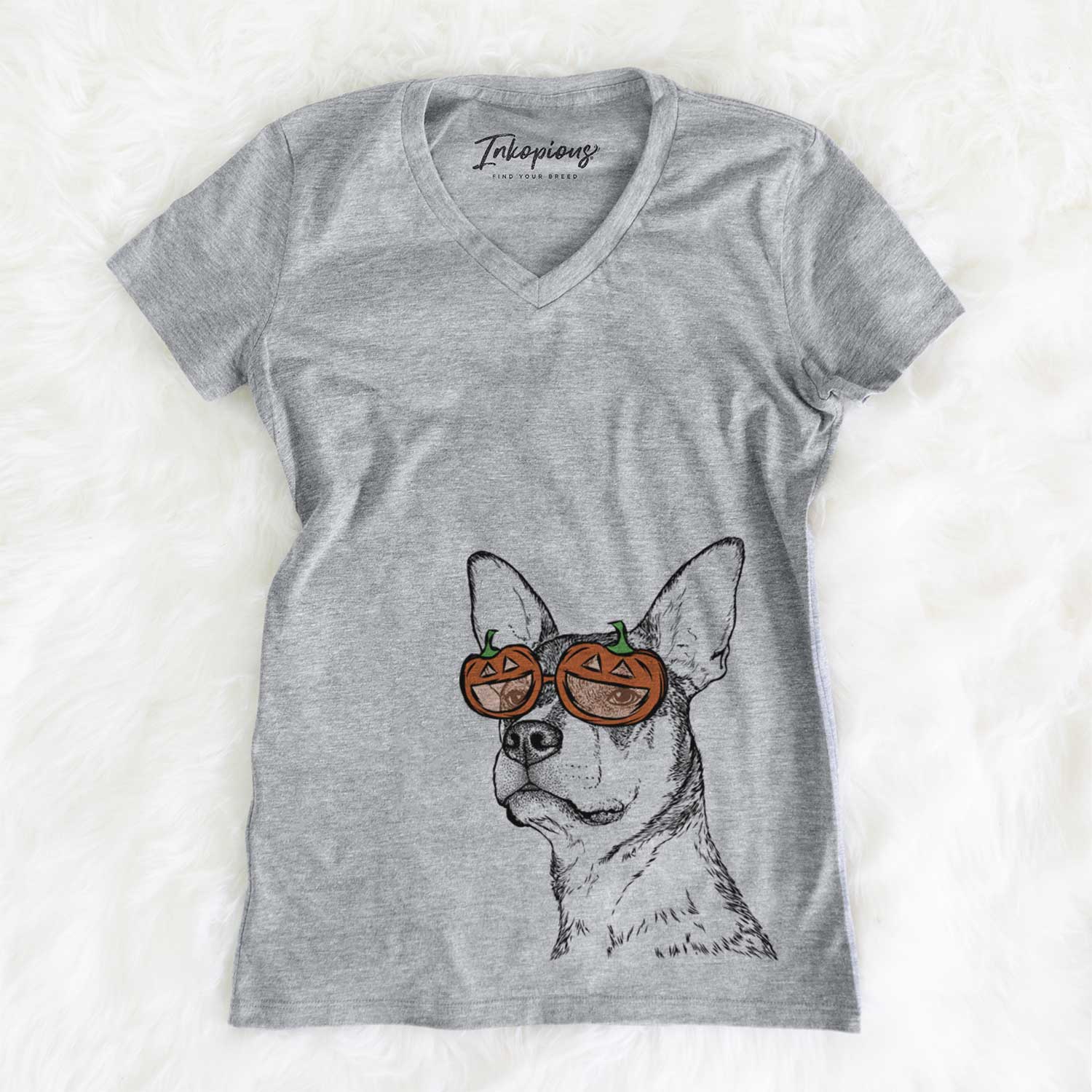 Bill the Heeler Mix - Pumpkin Collection