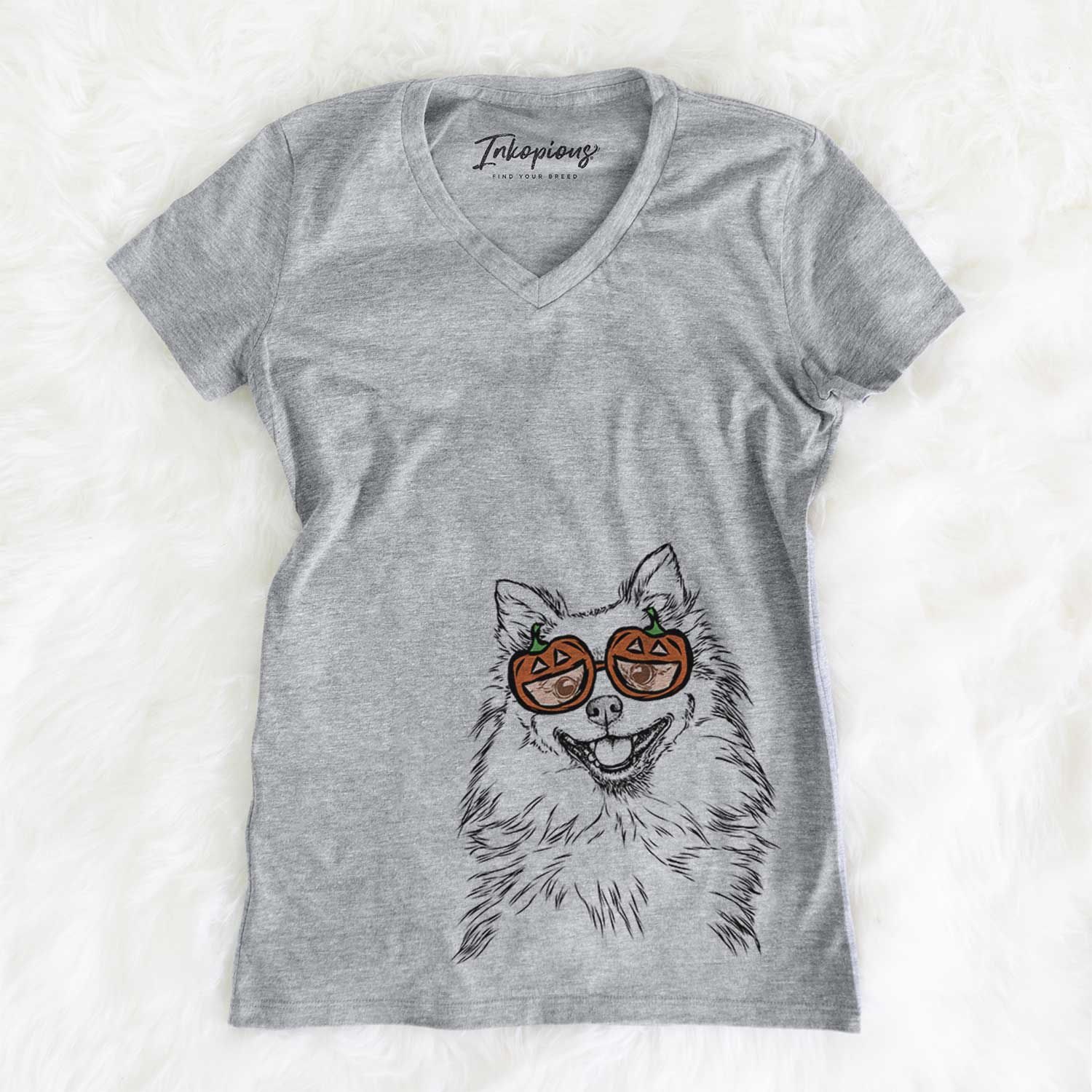 Hand-drawn sketch of Fibi the Spitz wearing pumpkin glasses on a Grey pumpkin collection