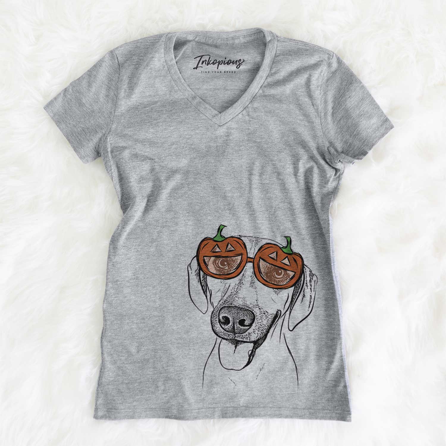 Malia the American Foxhound Mix - Pumpkin Collection