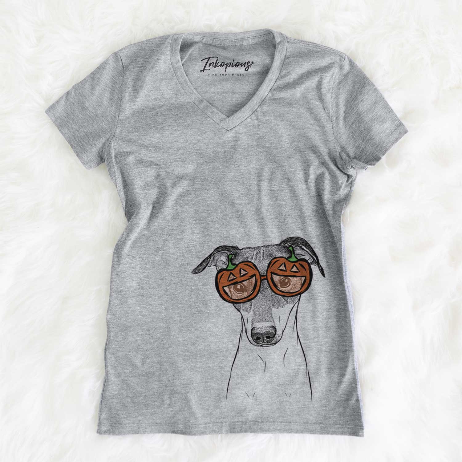 Hand-drawn sketch of Momo the Japanese Terrier wearing pumpkin glasses on a Grey pumpkin collection