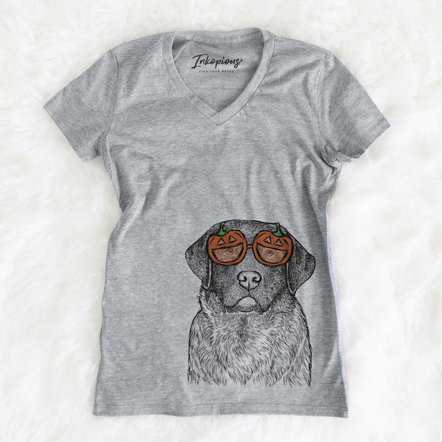 River the English Labrador Retriever - Pumpkin Collection